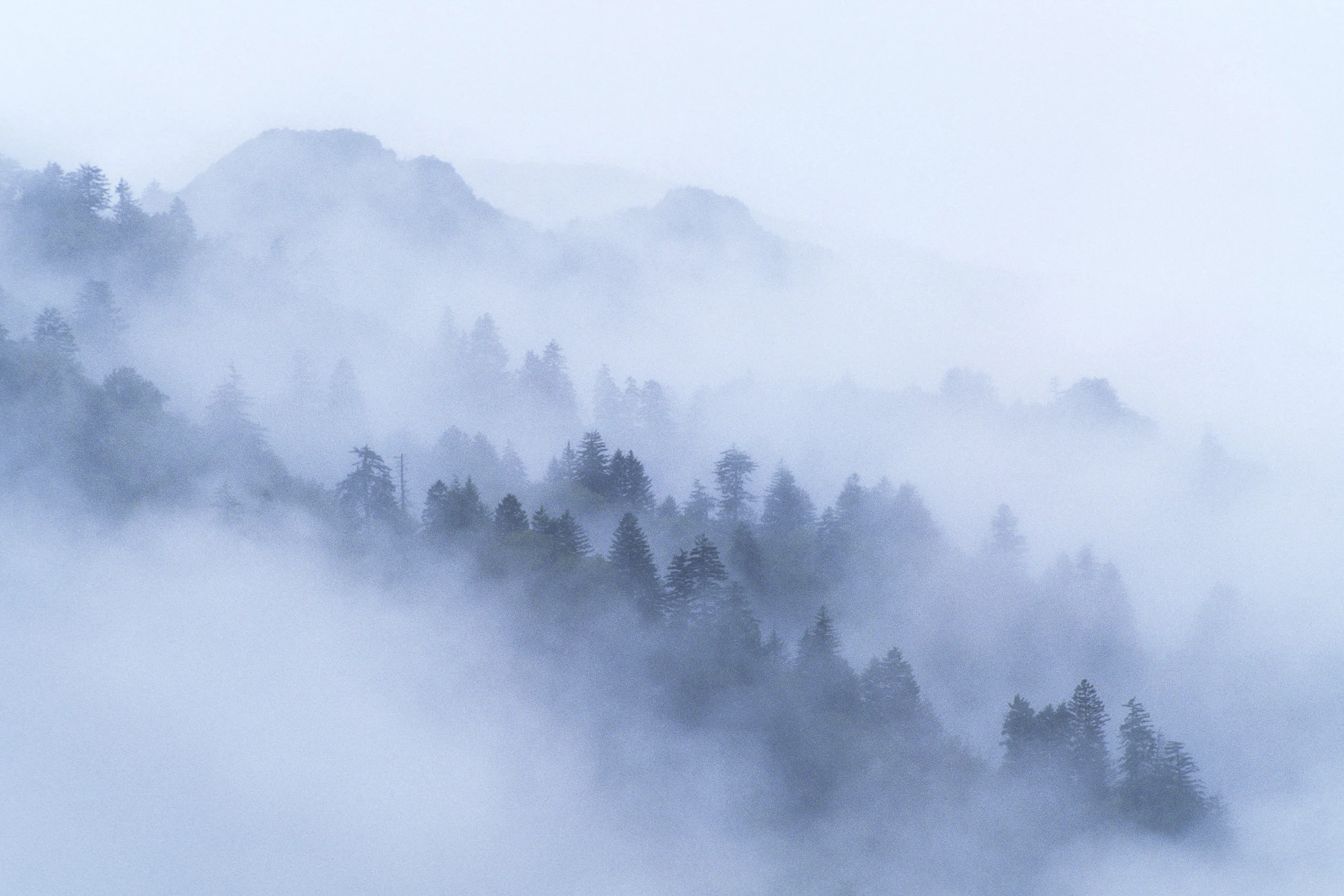 Chimney Mist.jpg