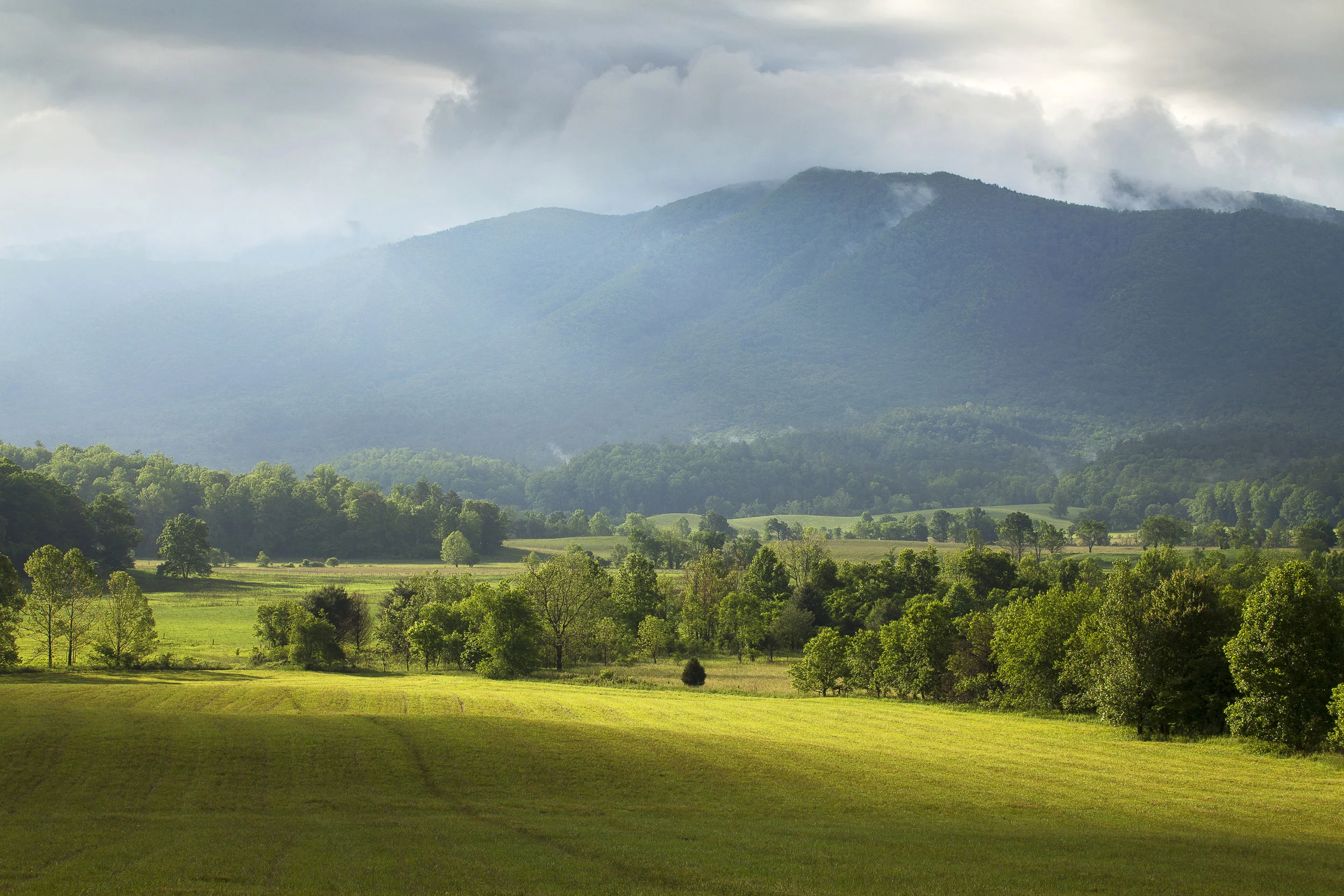 Field of Dreams.jpg