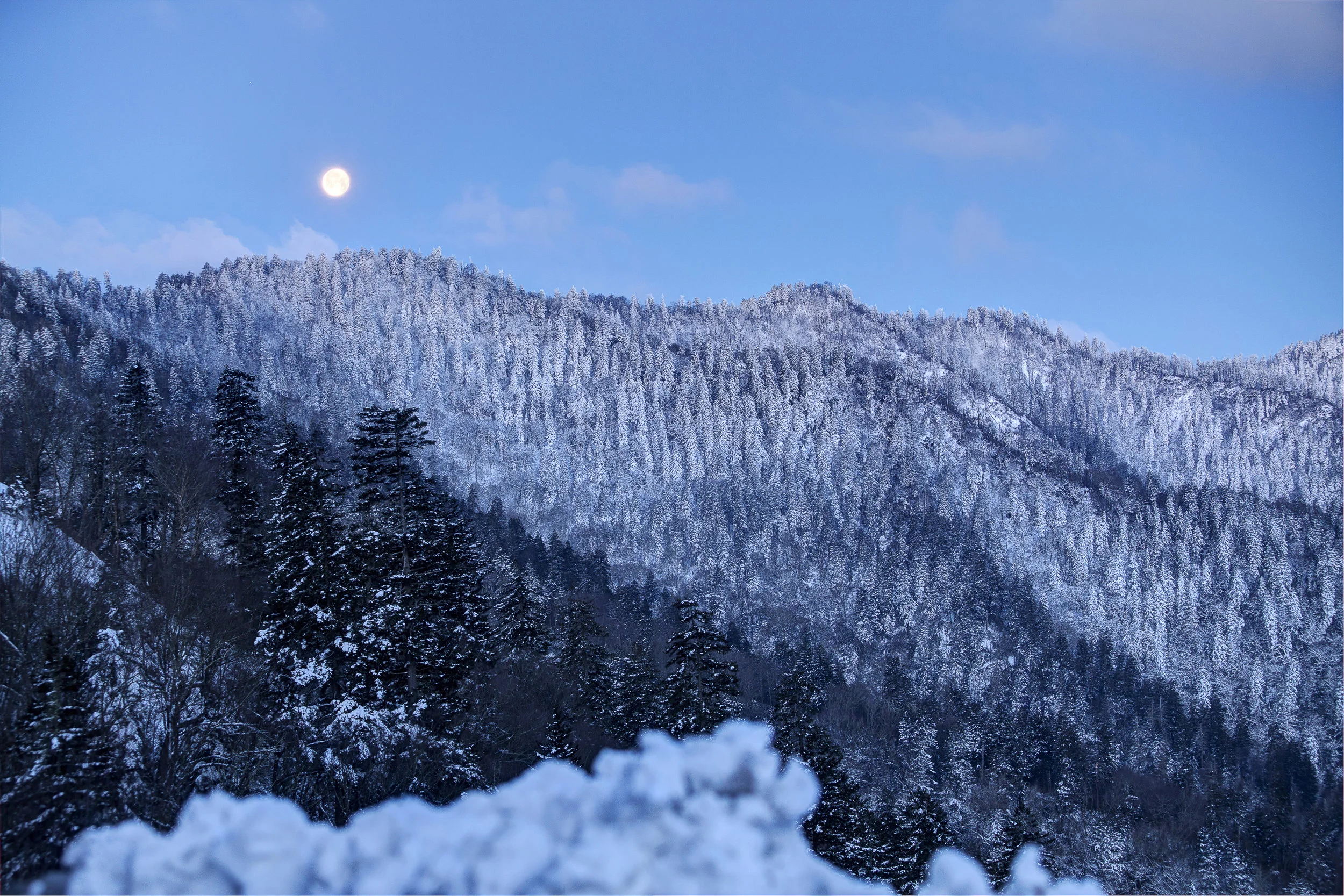 GSMNP-8.jpg