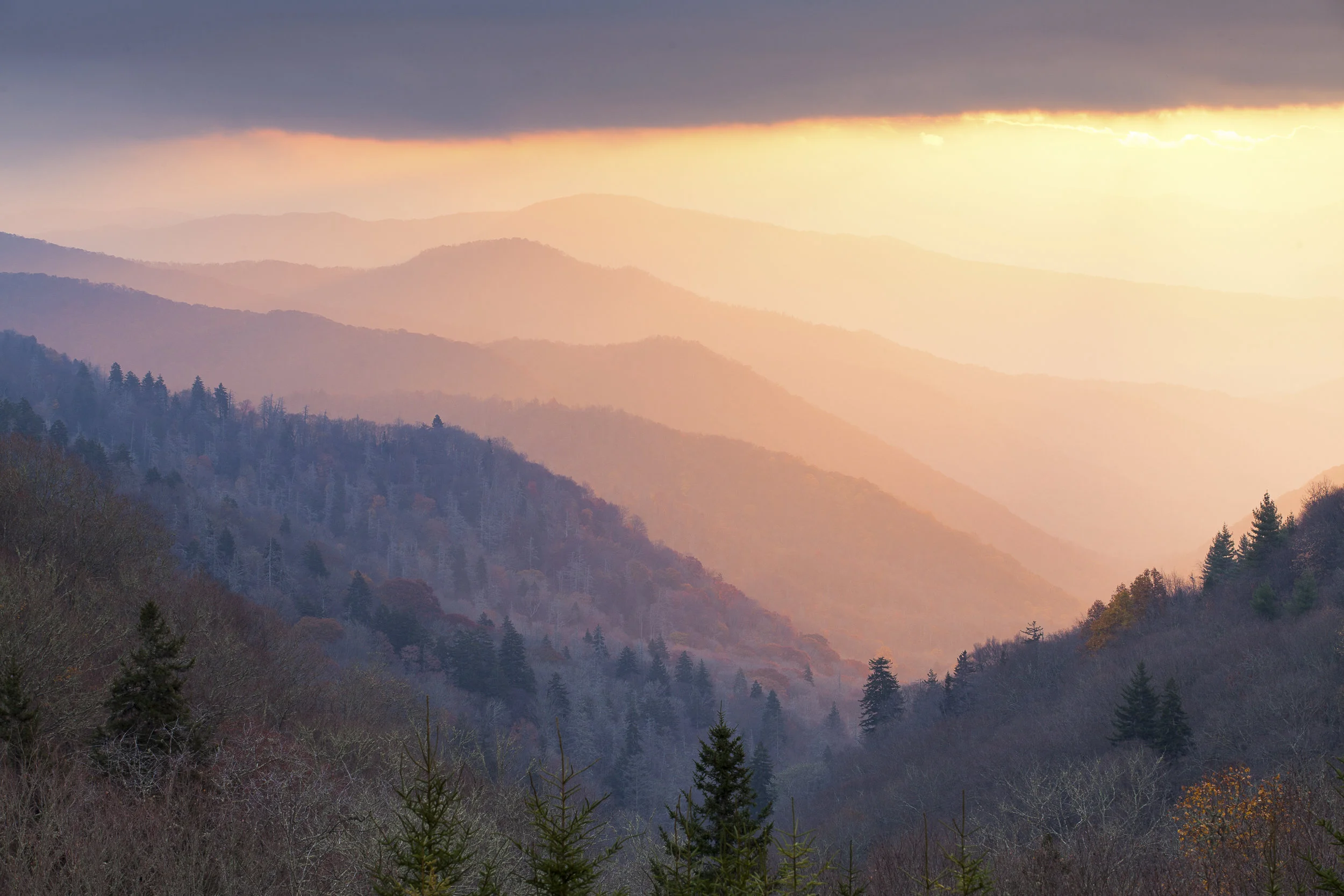 H_2_Fall2014-3757.jpg