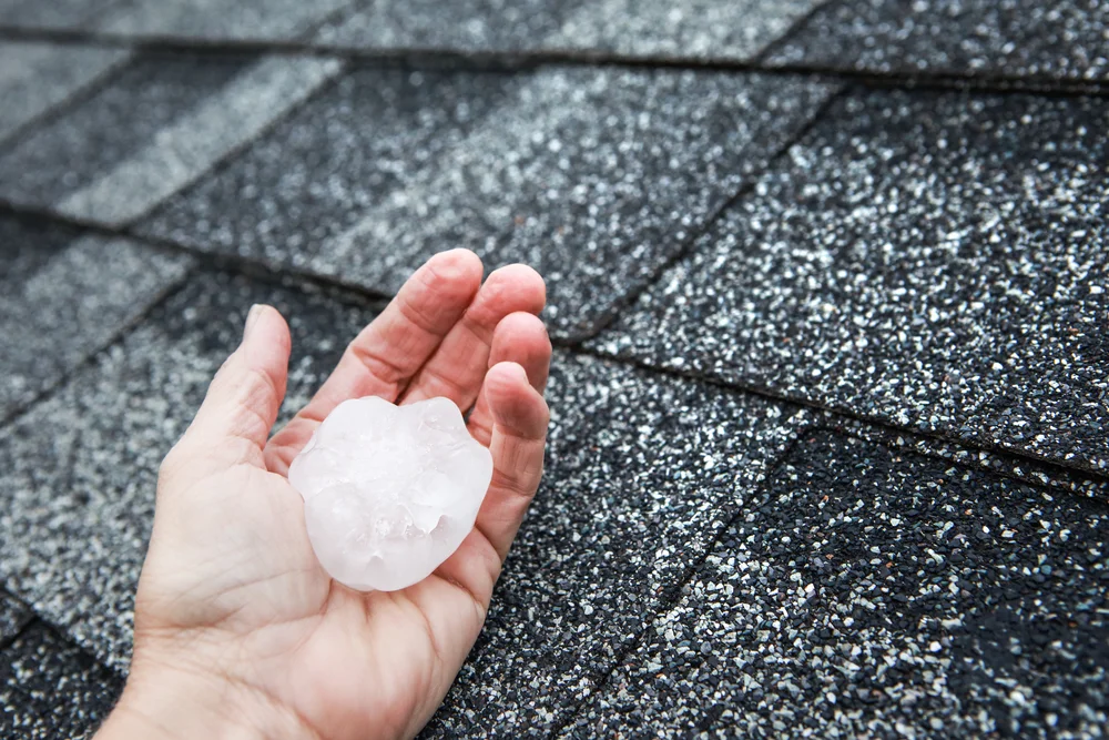 hail in hand.jpg
