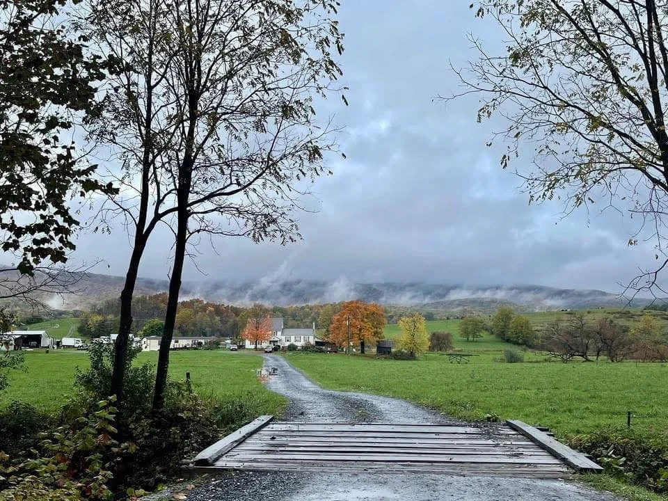 THE WAY HOME