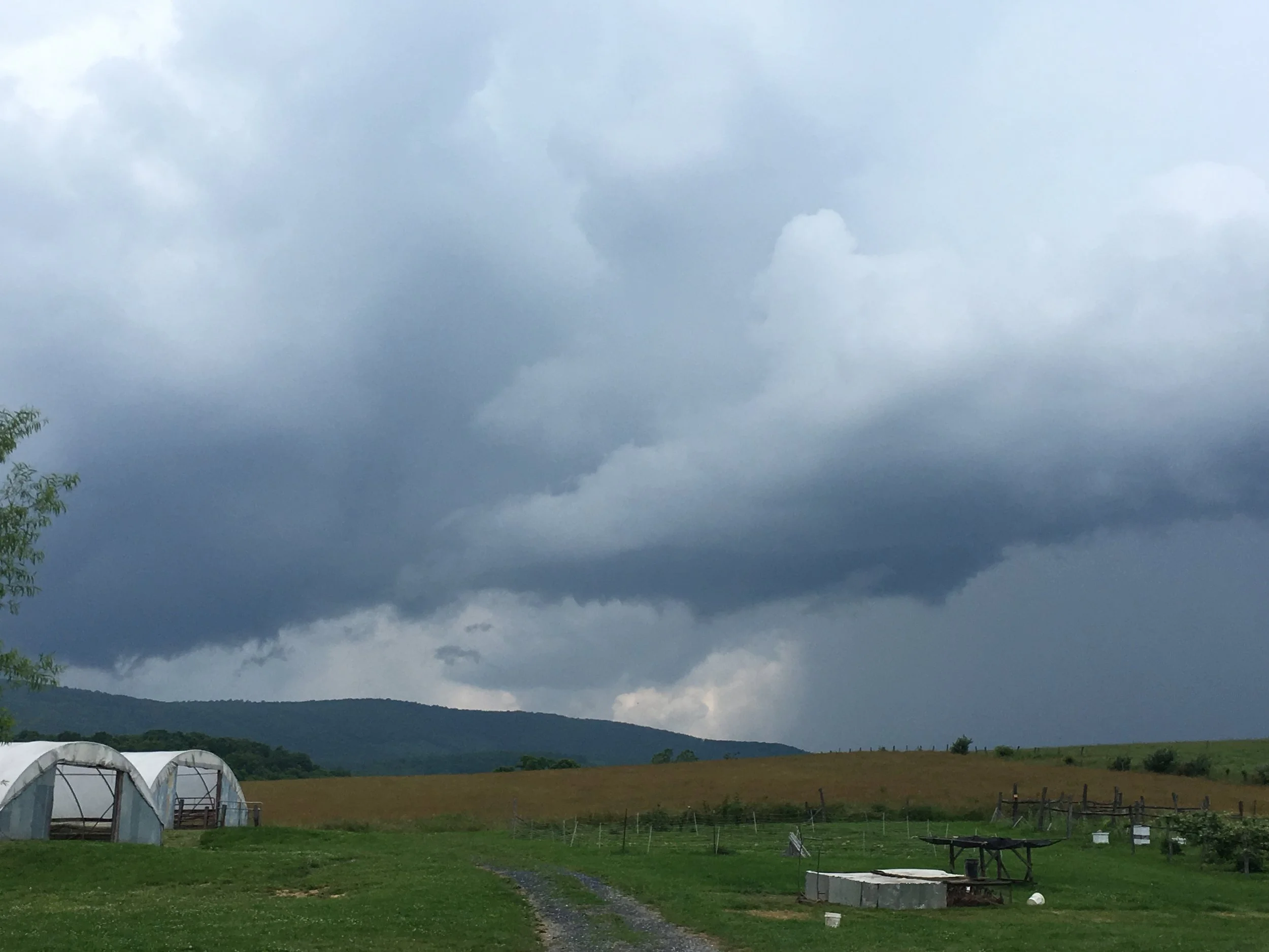 SUPREME COURT RALLY AND INDIANA