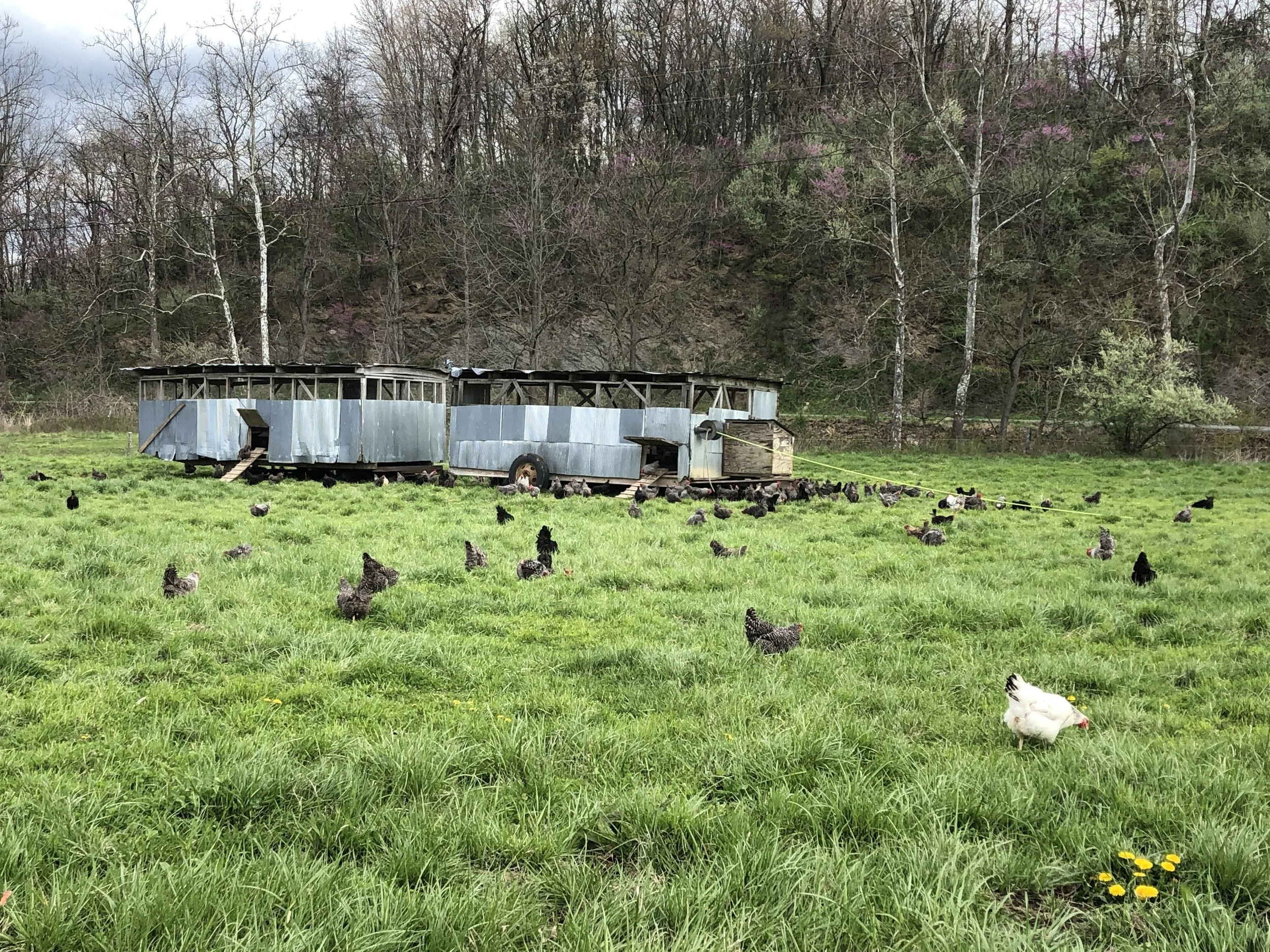 VIRGINIA AG SECRETARY LOVES STINKY FARMS