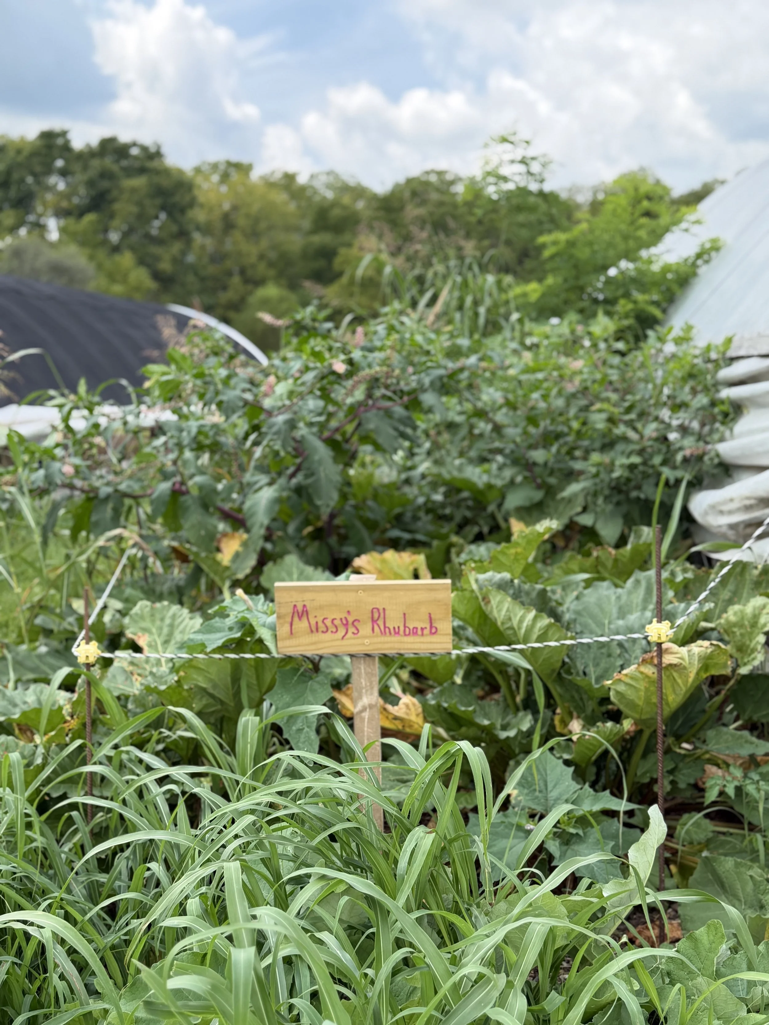 TRUMP EO ON ON-FARM PROCESSING