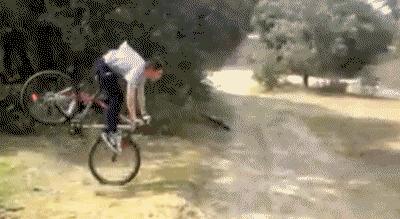 bike_crash-1468595091943-1jedfc1vp3hut-630-80.jpg