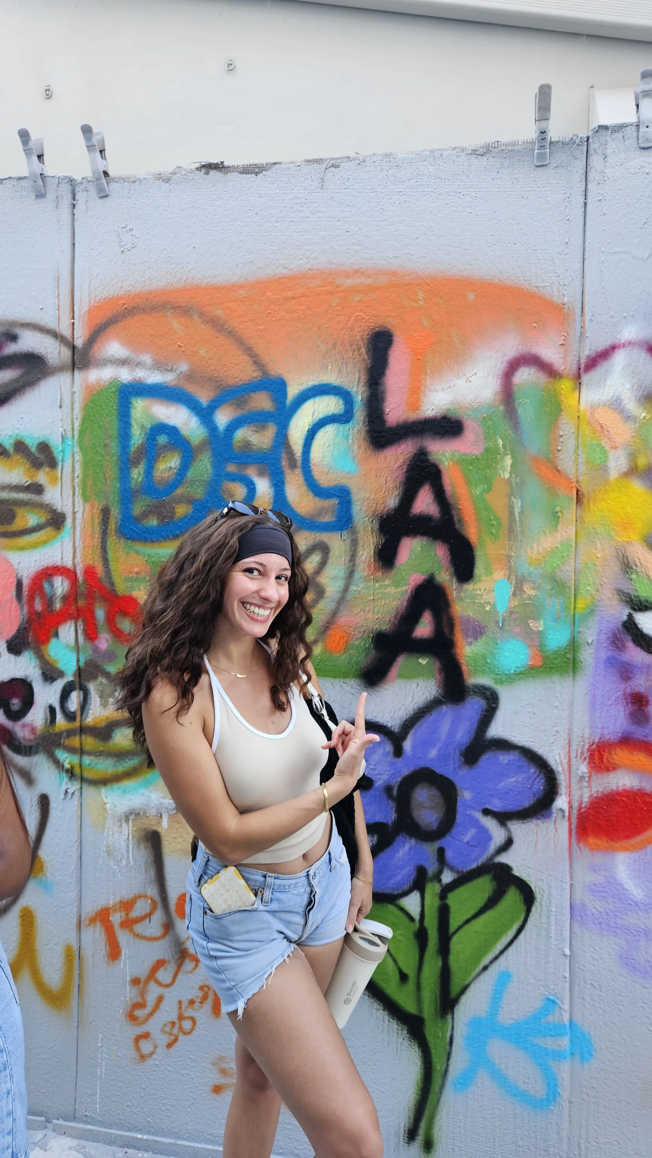 Wynwood Walls
