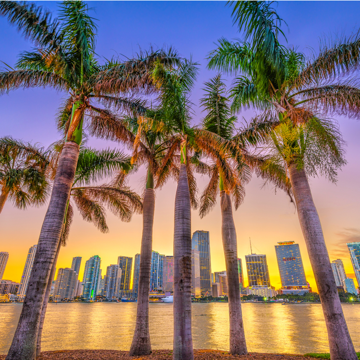 Square - Miami.png