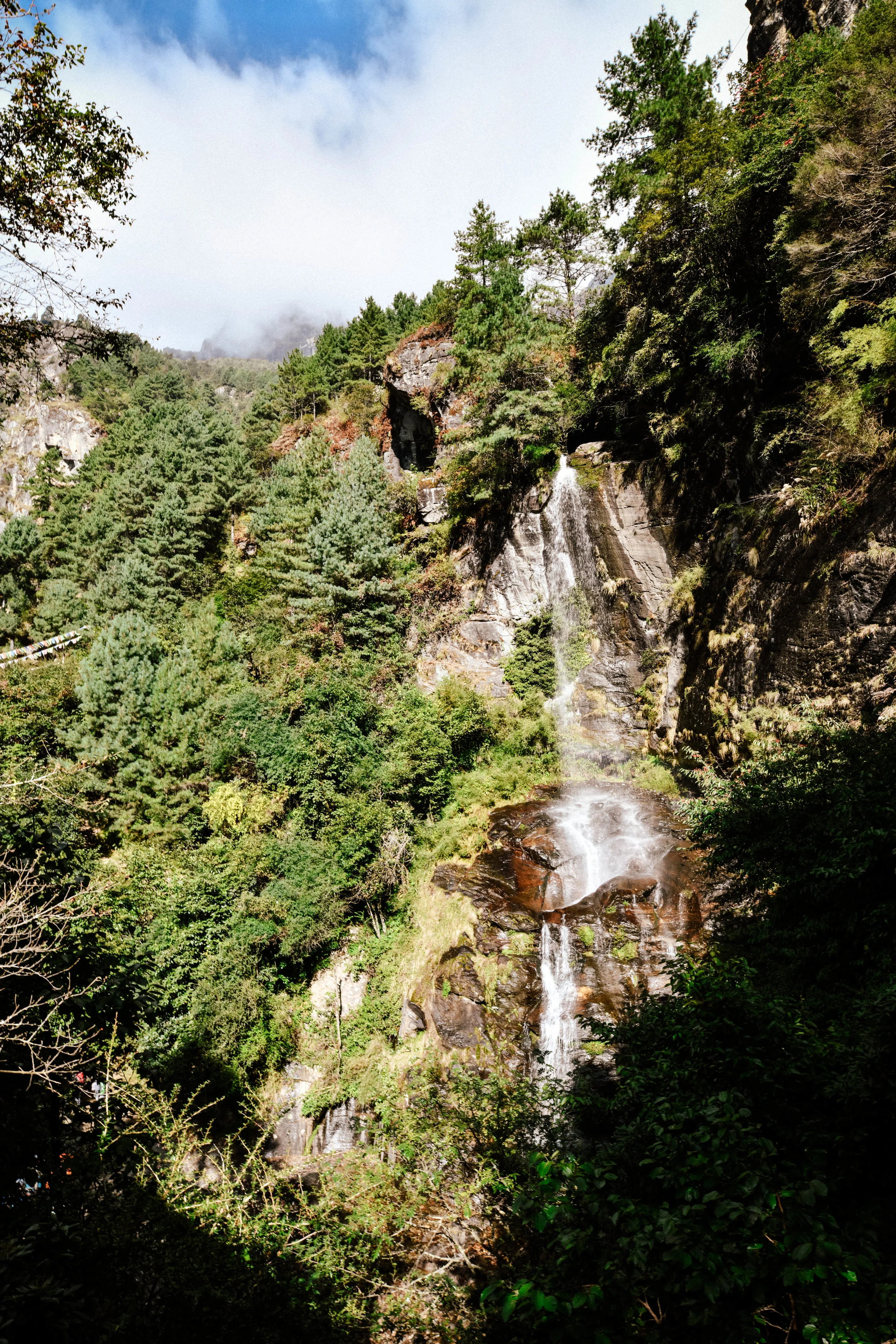 DSC_6445.jpg