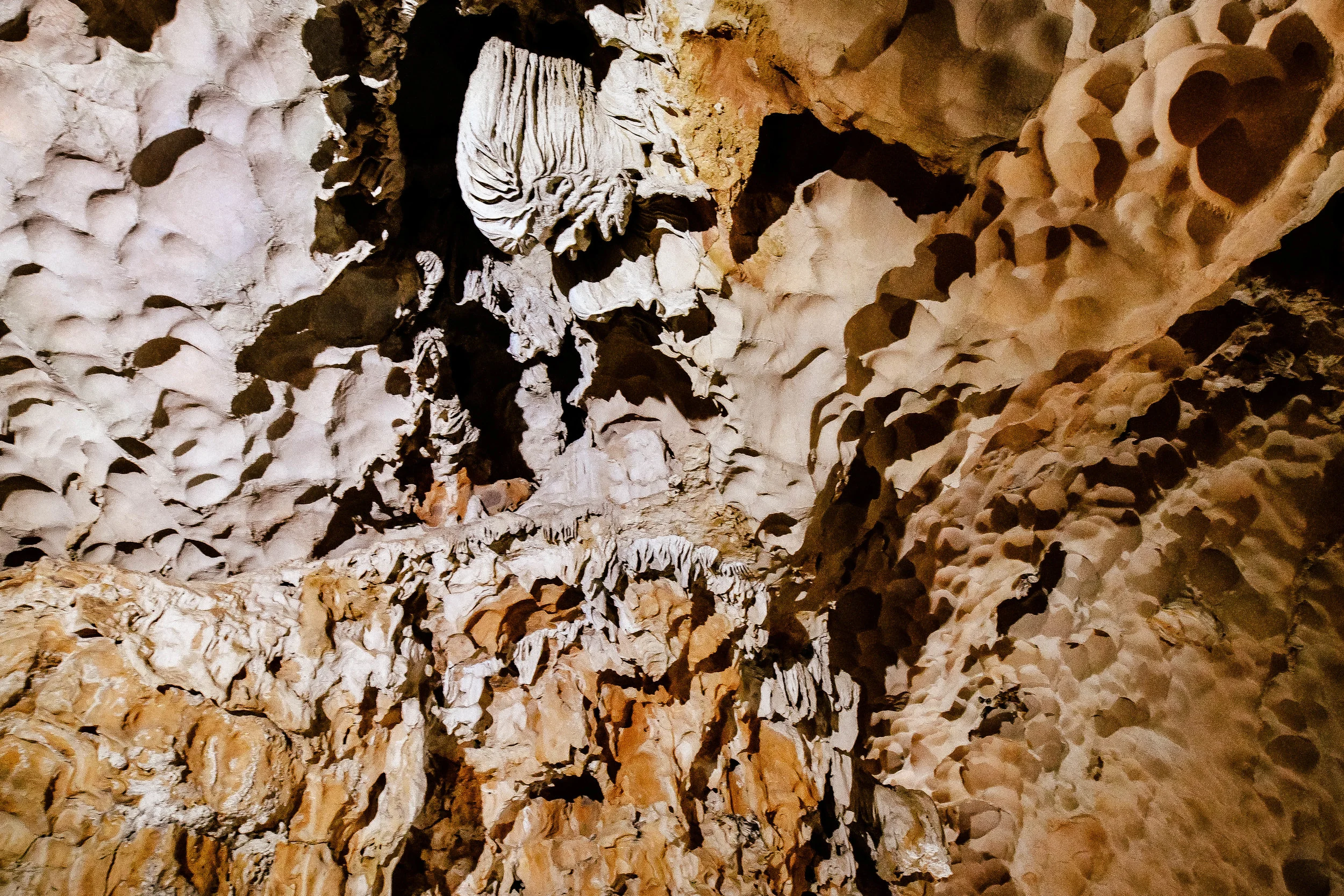 DSC_7309.jpg