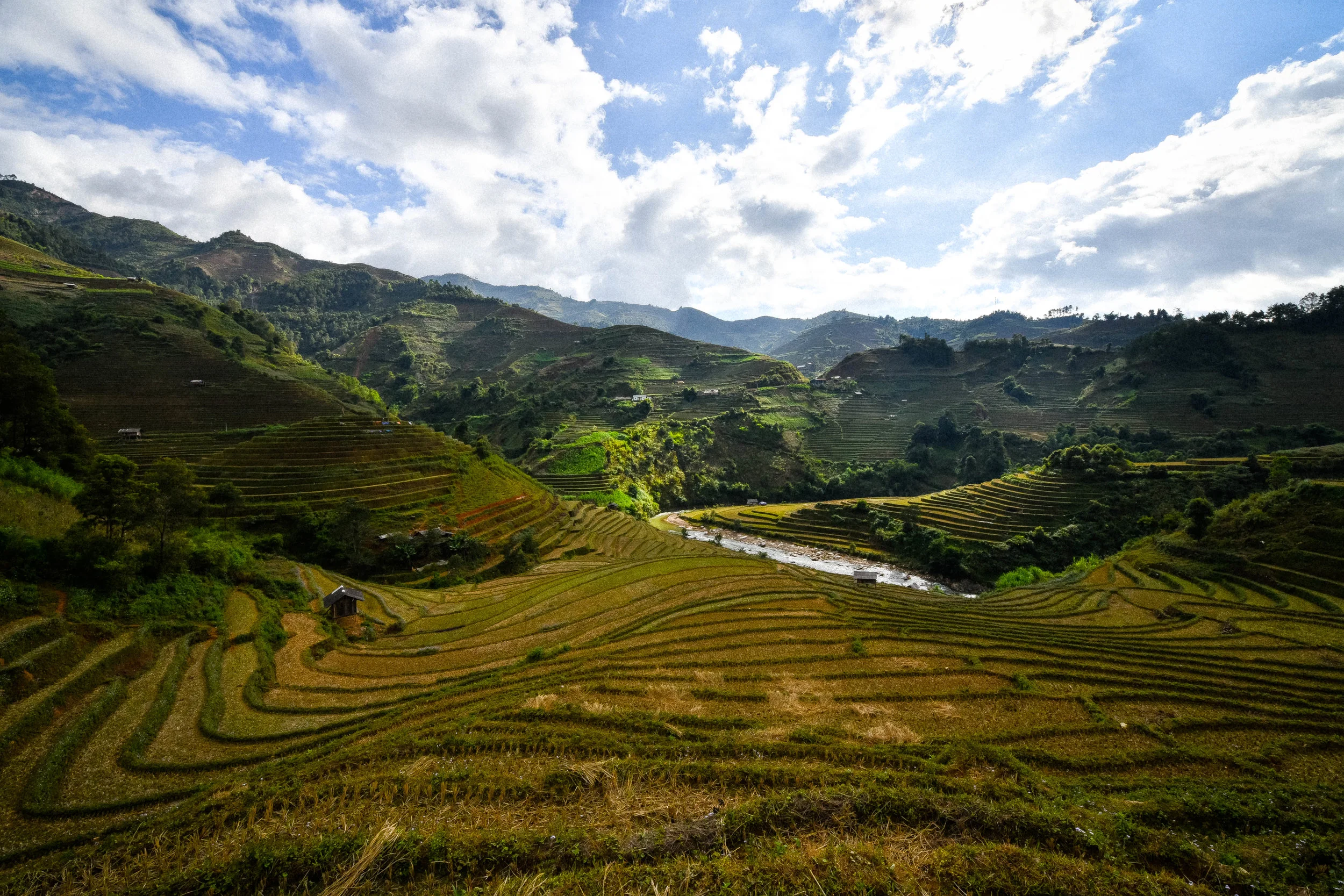 rice-terraces-vietnam.jpg