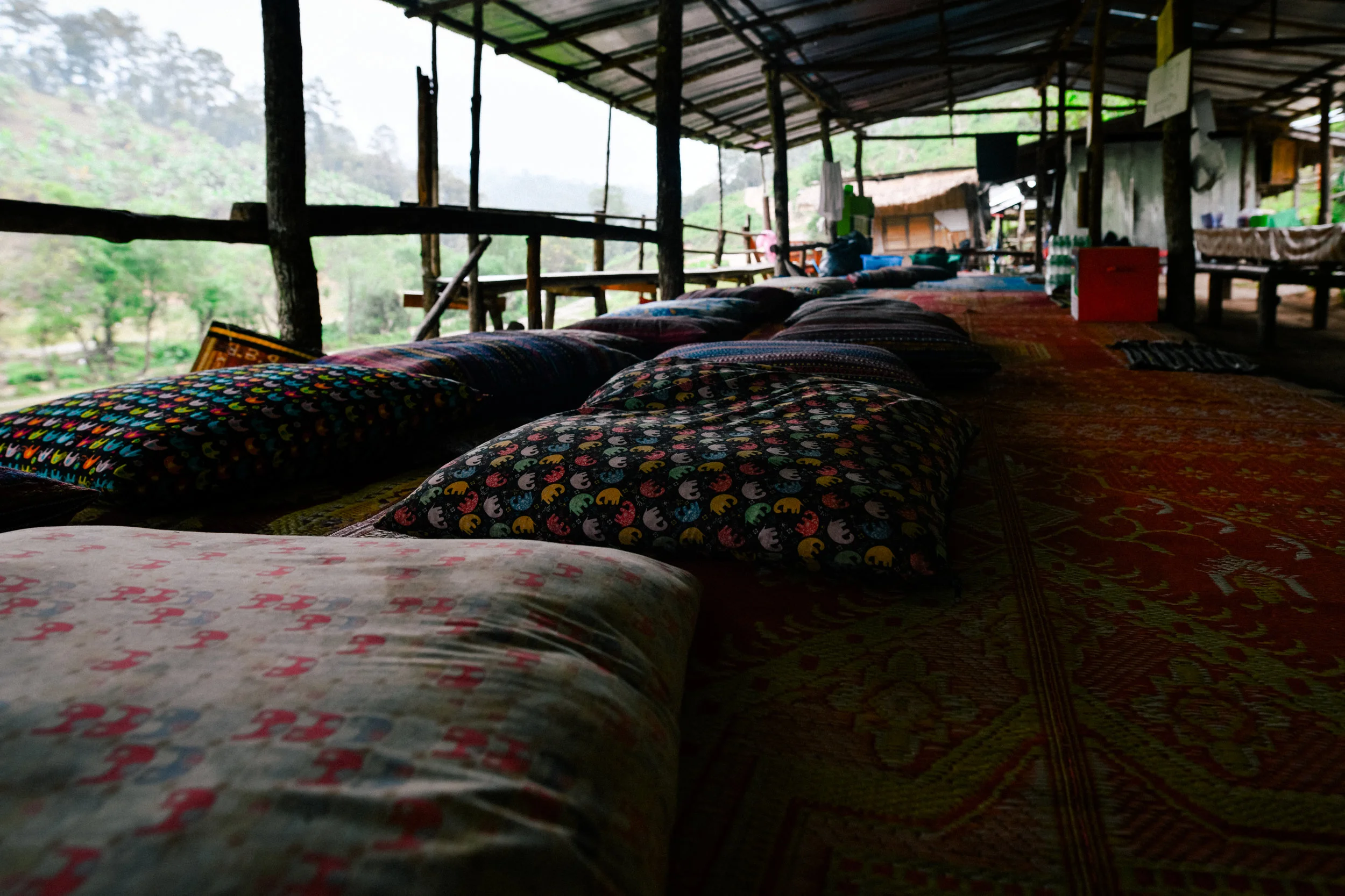 elephant sanctuary cushions