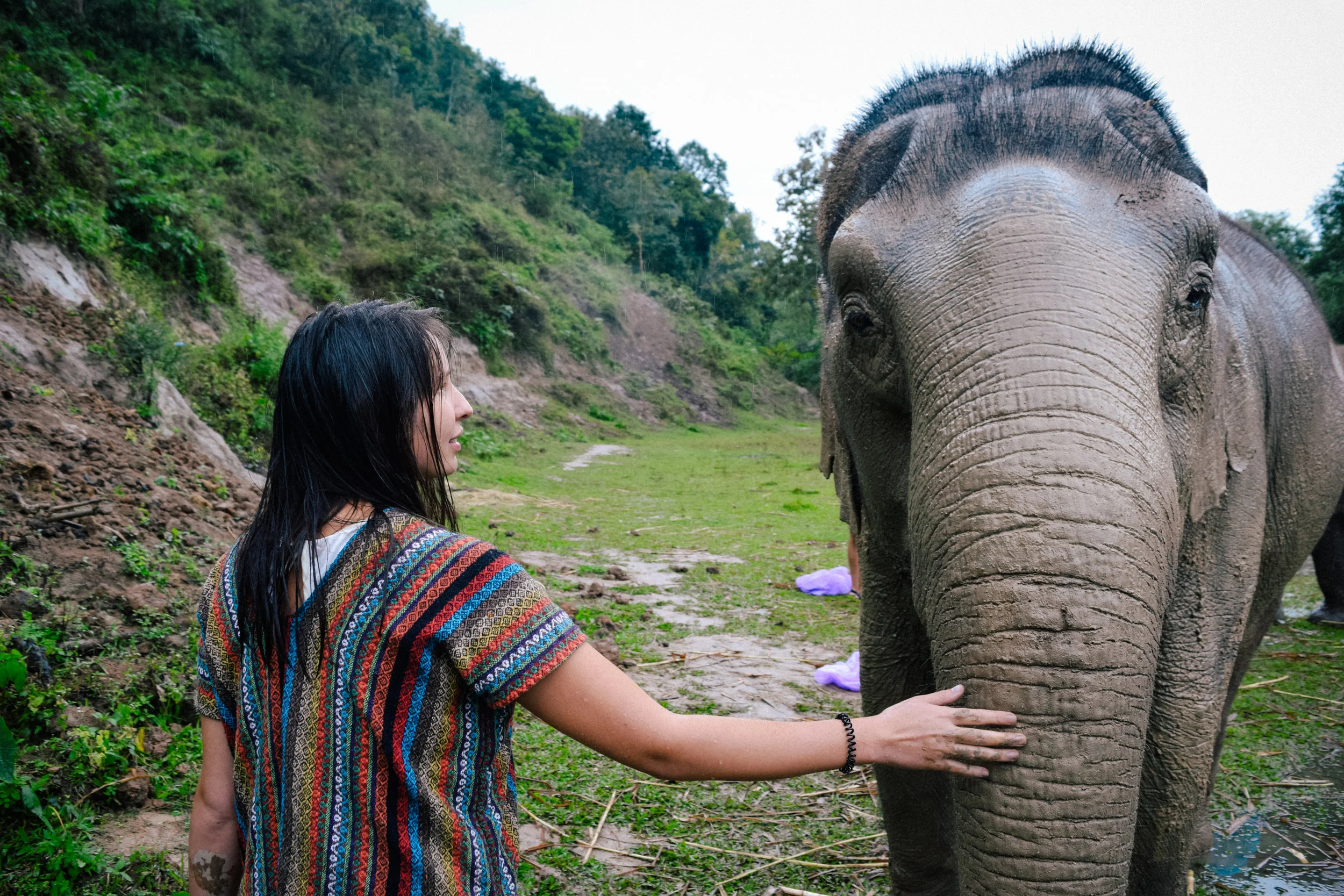 elephant touch