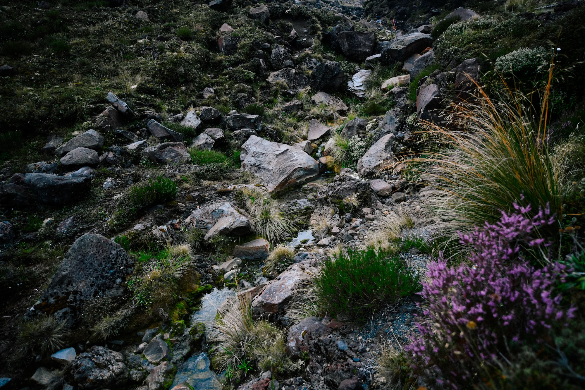 Rocks in Mordor