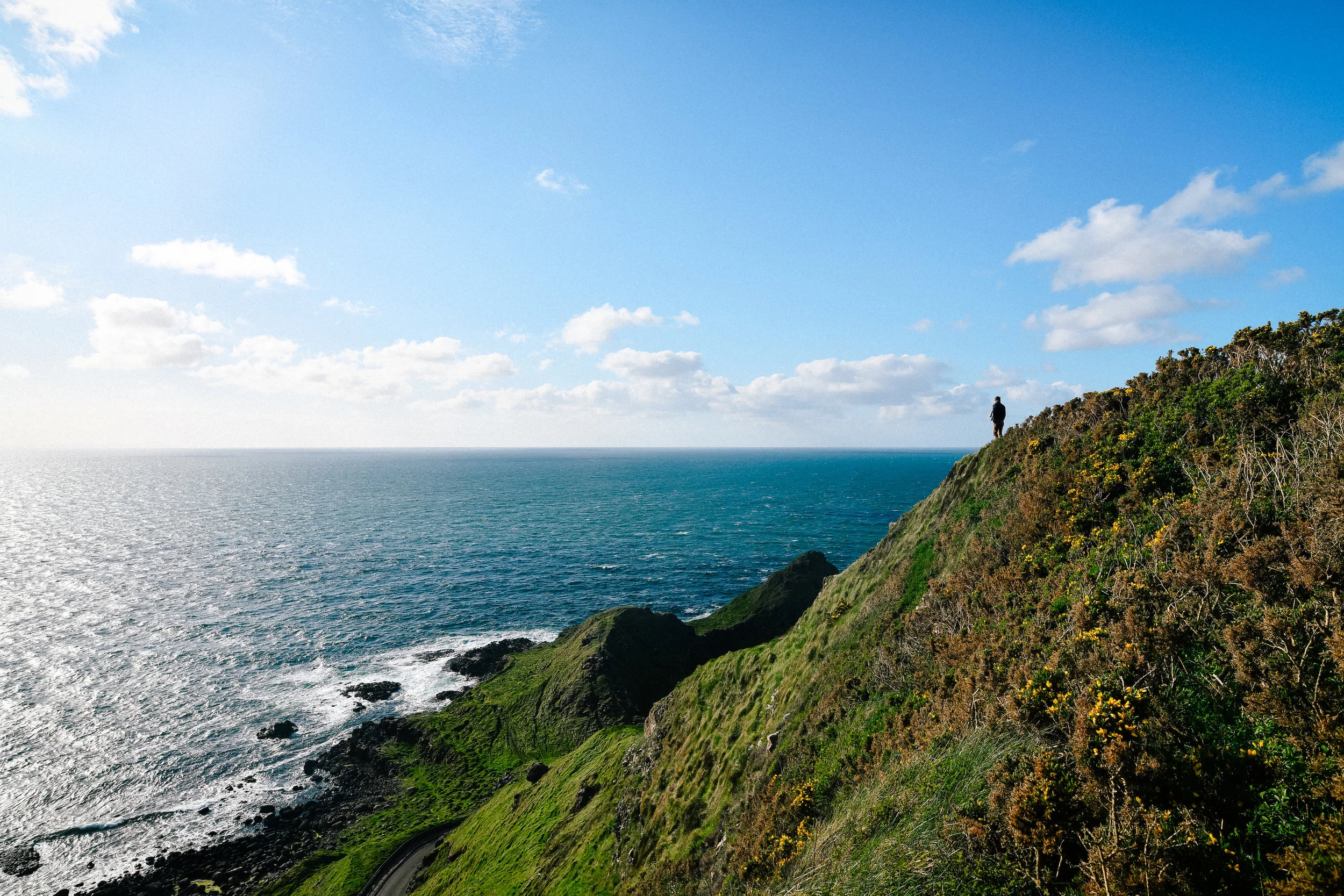Peter out on the cliffs