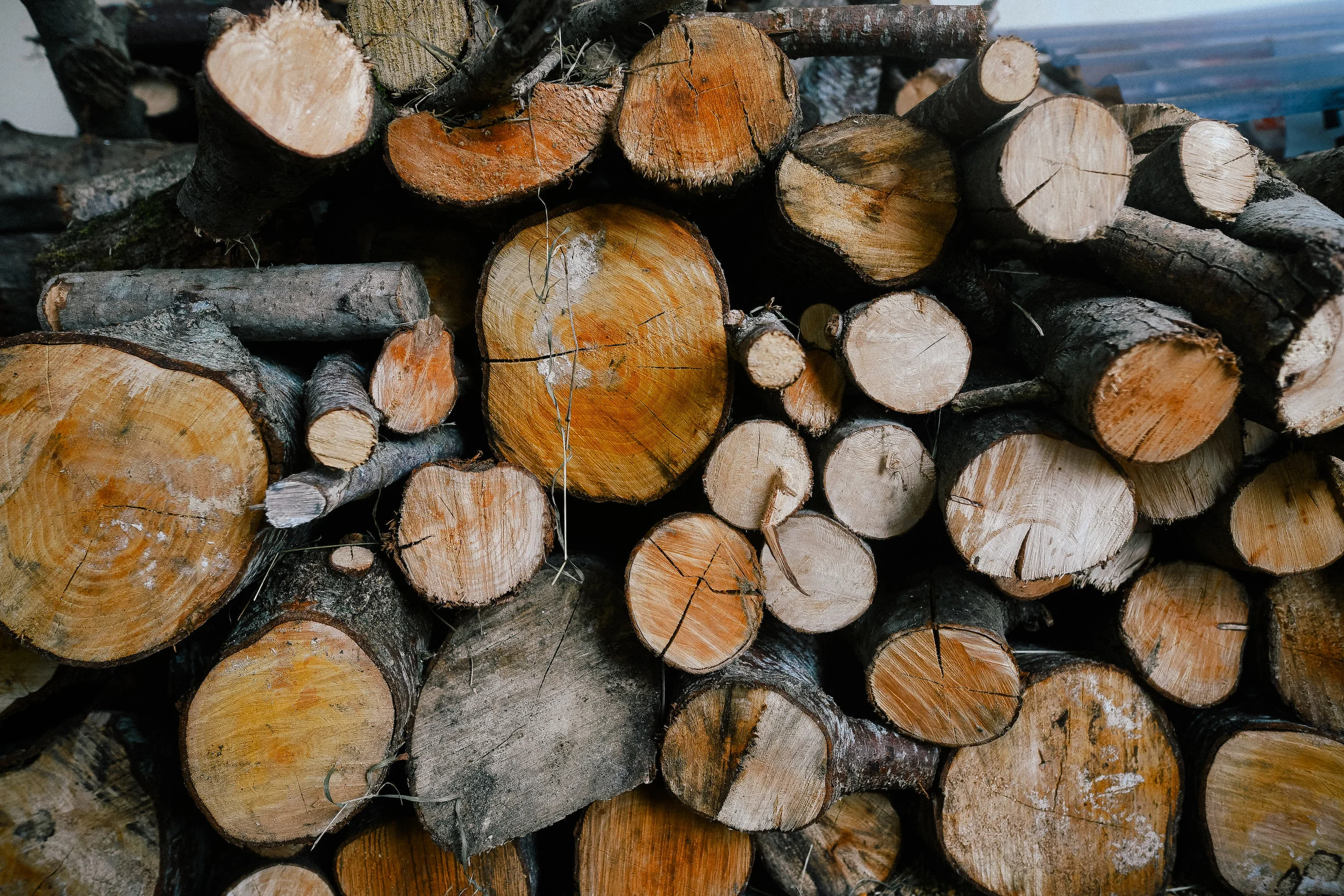 wood
