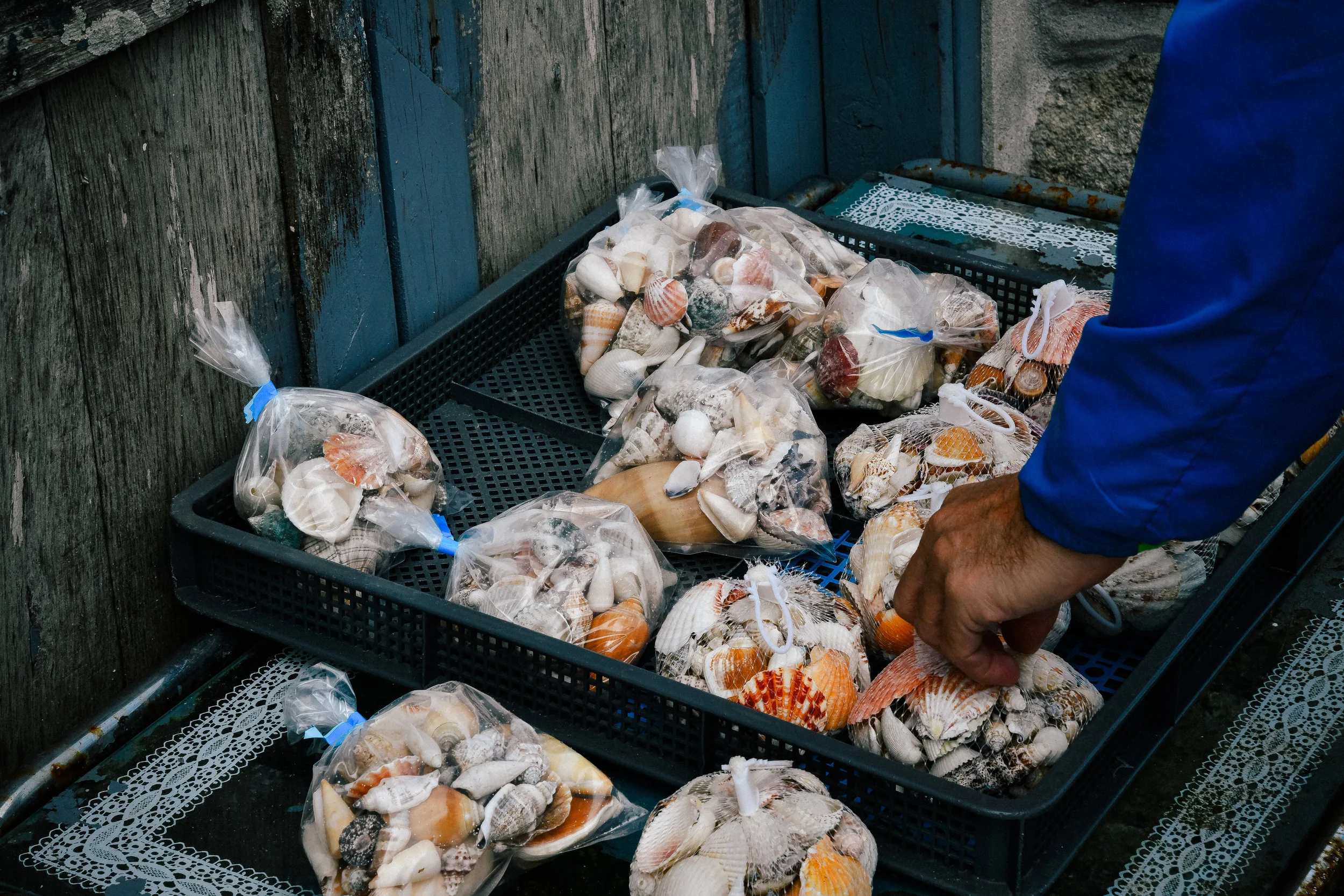 shopping for shells in mousehole