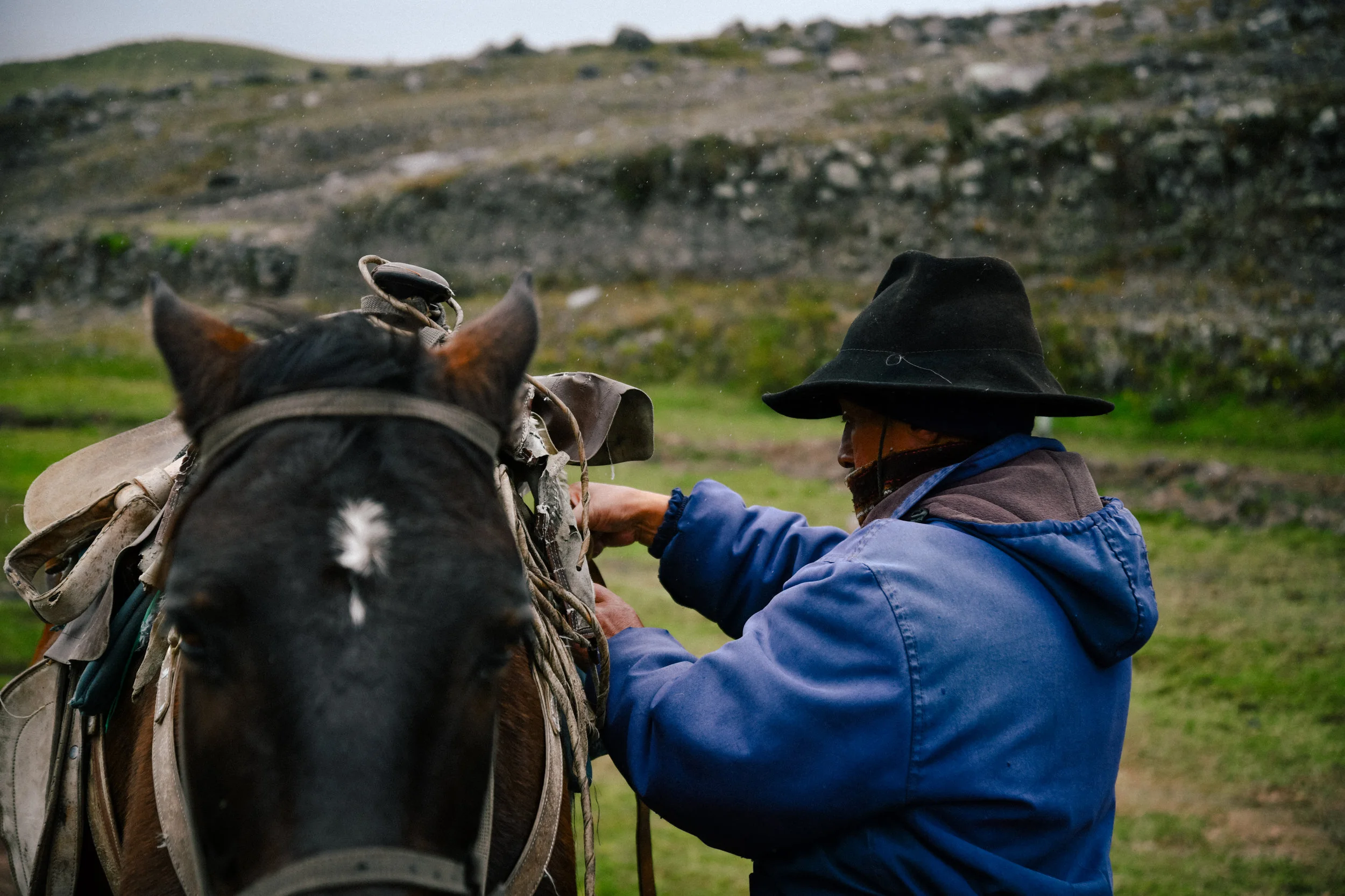 packing up the horse in cotopaxi national park