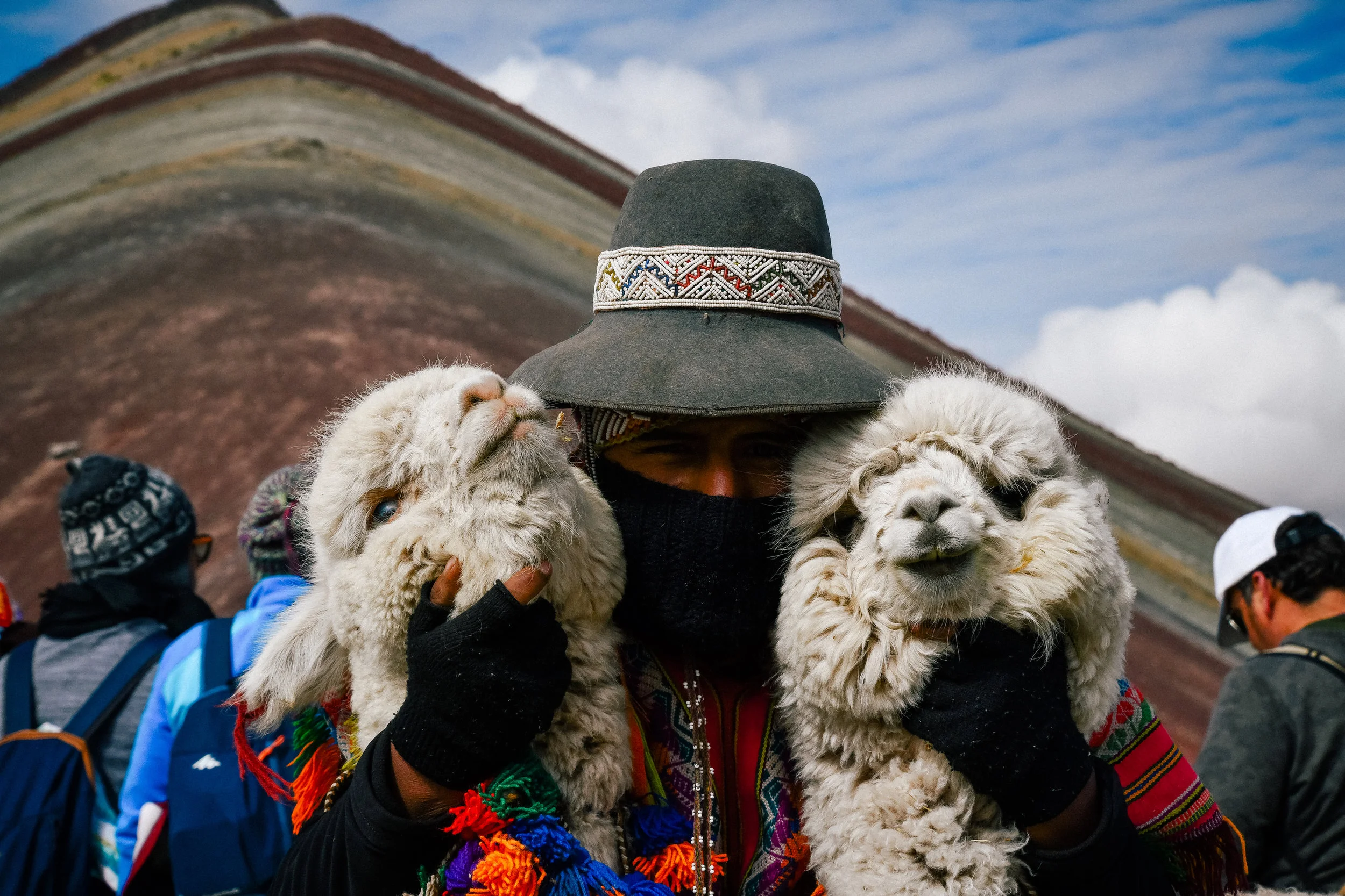 friendly alpacas at rainbow mountain