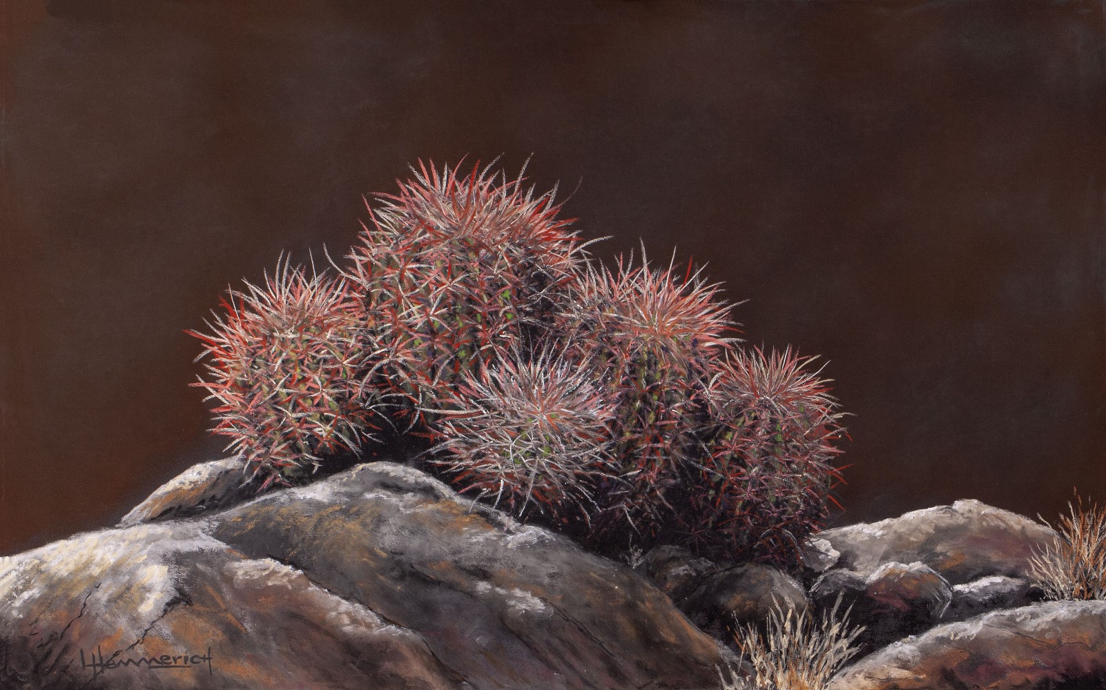 Barrel Cactus Still Life