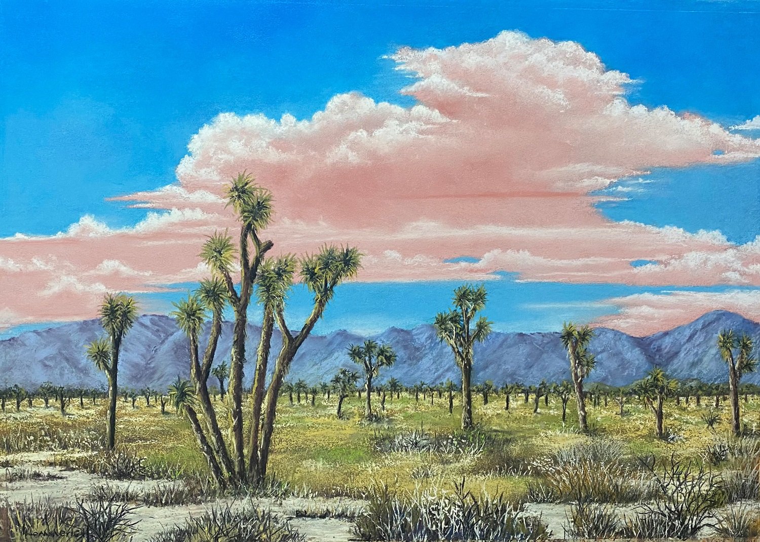 Memories Made in Joshua Tree