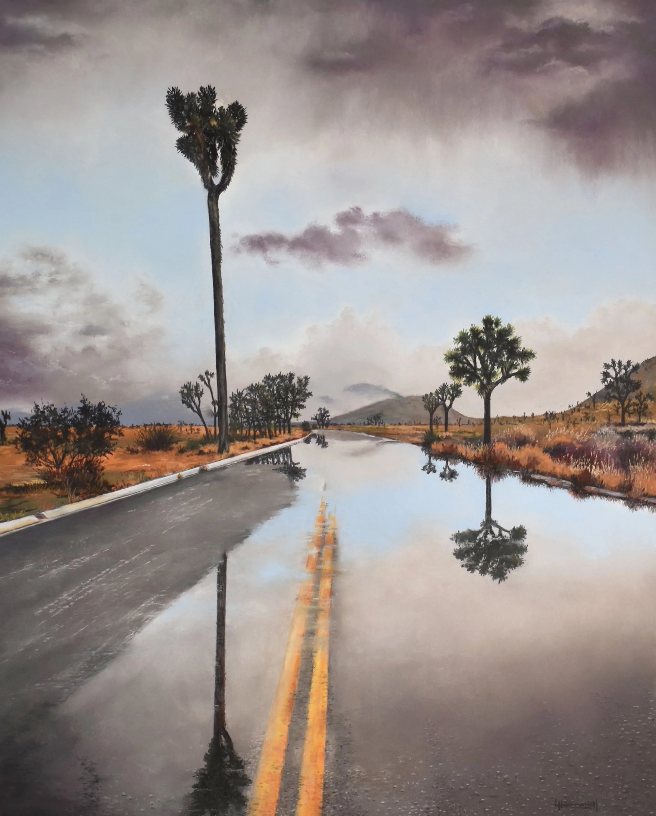 Joshua Tree Reflection