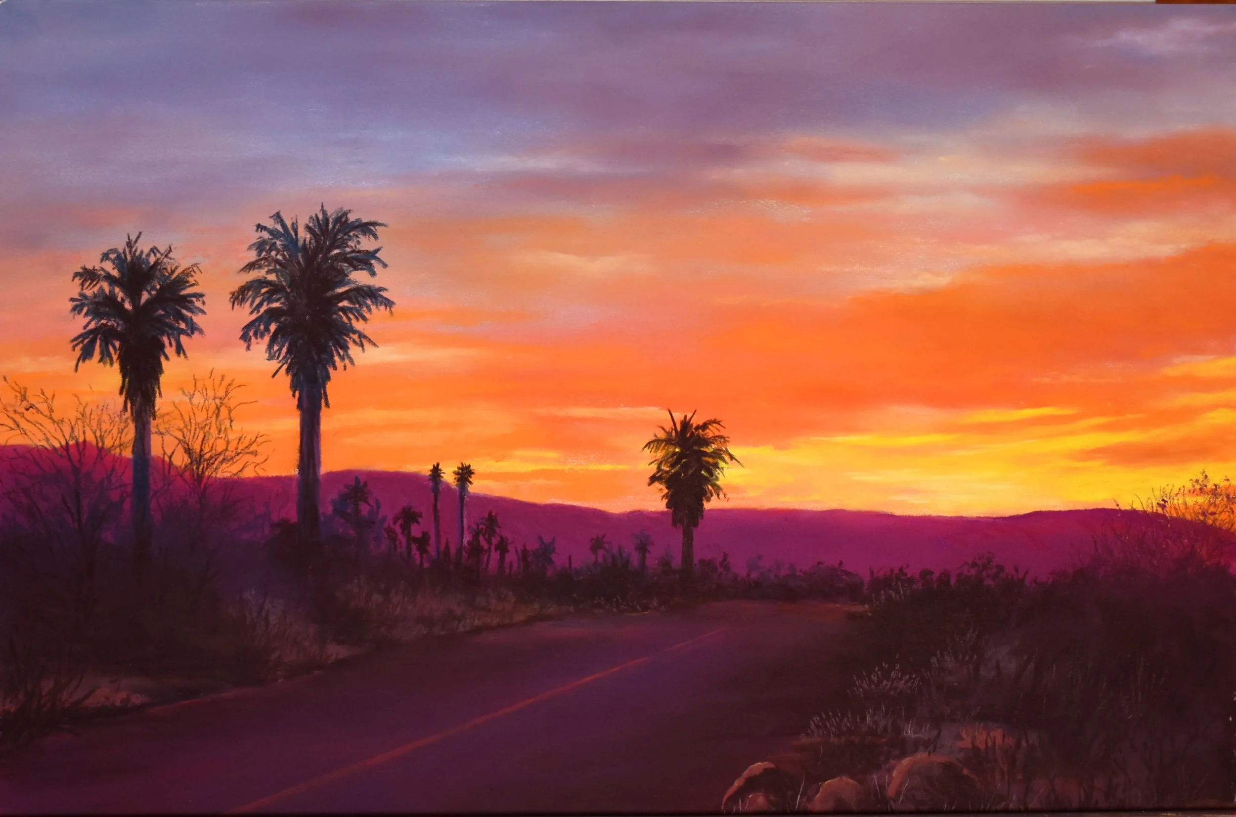 Sun Rise in Borrego Springs