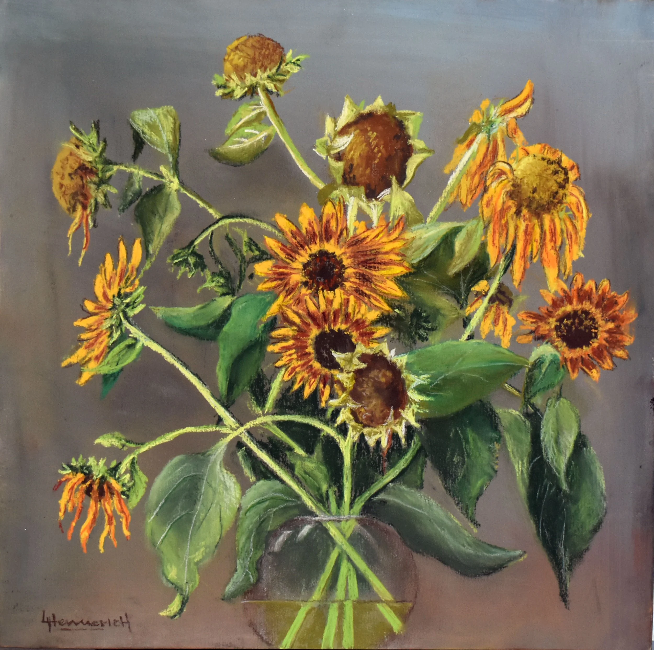 Sunflowers in France
