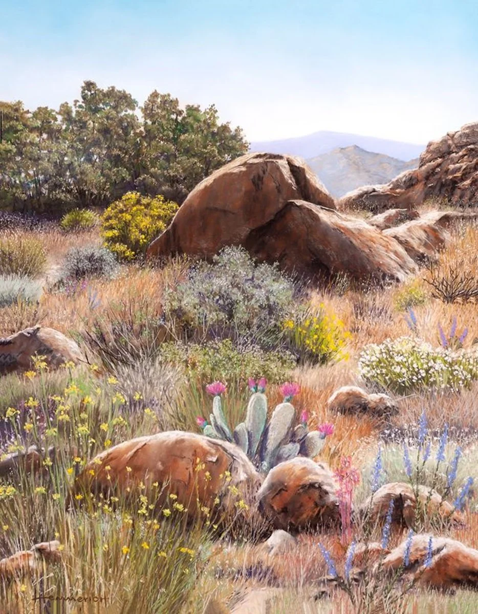 Hiking the Santa Rosa's.jpeg