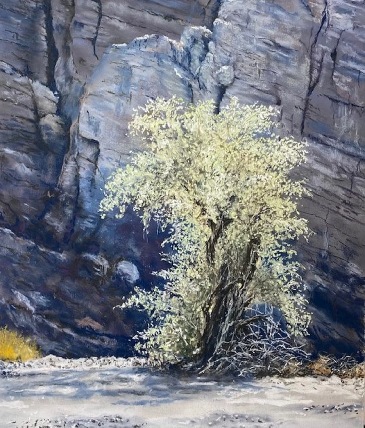 Basking in Desert Sun Larry Hemmerich.jpg