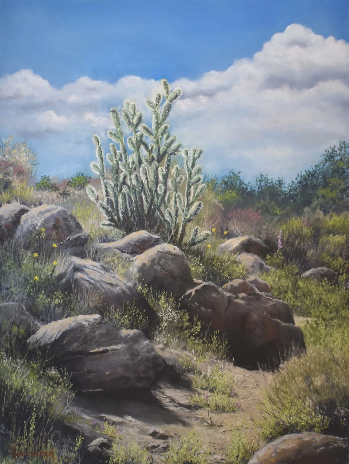 After Desert Rains.jpg