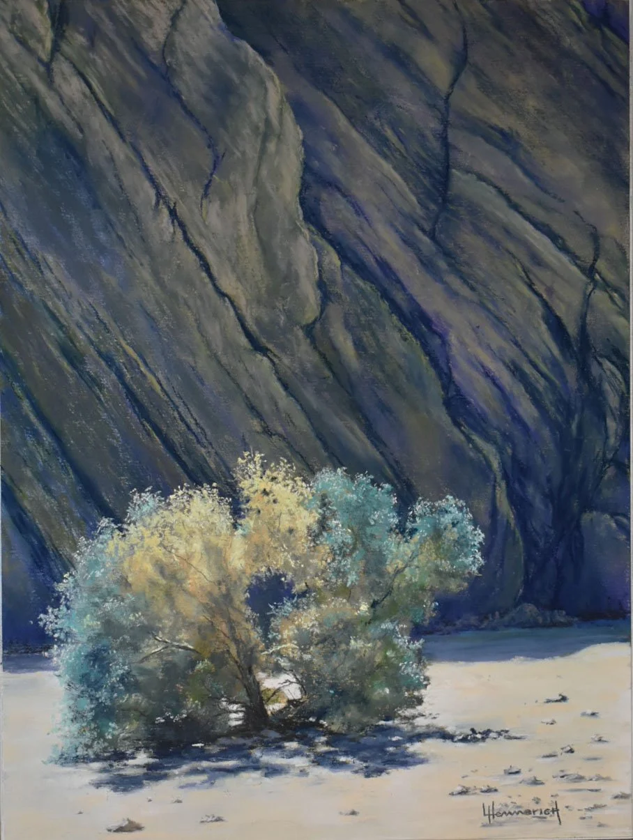 Sunlit Smoketree2.jpg.jpg