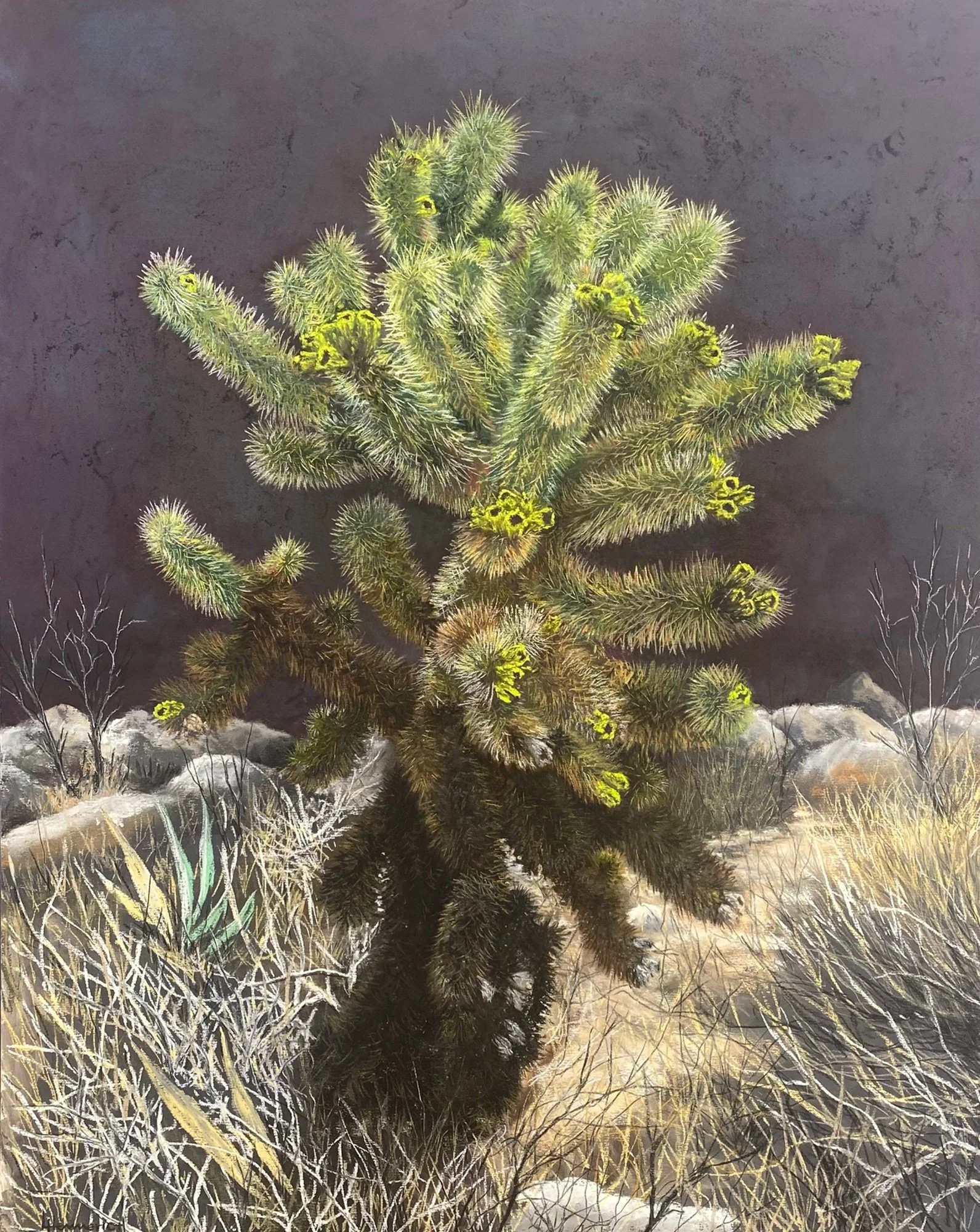 Cholla Still Life.jpg