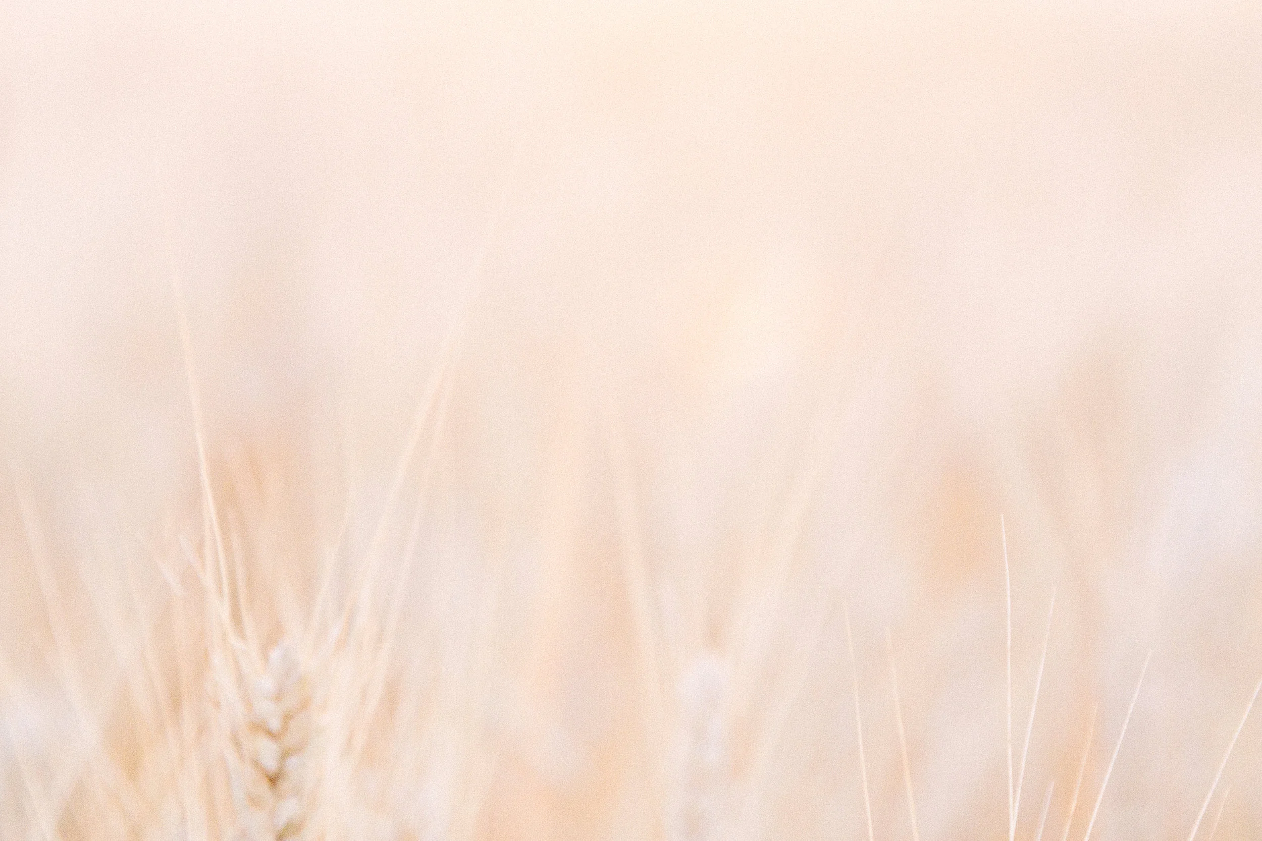 KendraWackPhotography-66.jpg