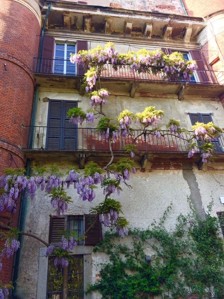 Orto Botanico di Brera