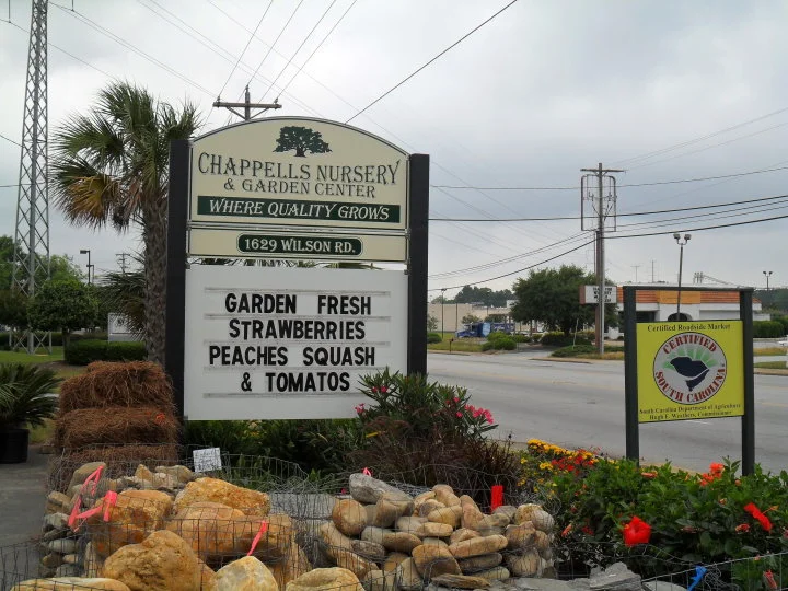 gardencenter5.jpg