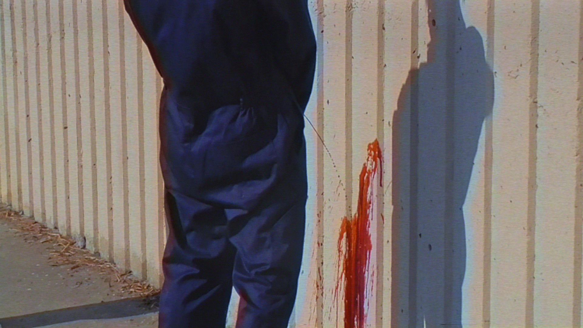 CC pissing blood.png
