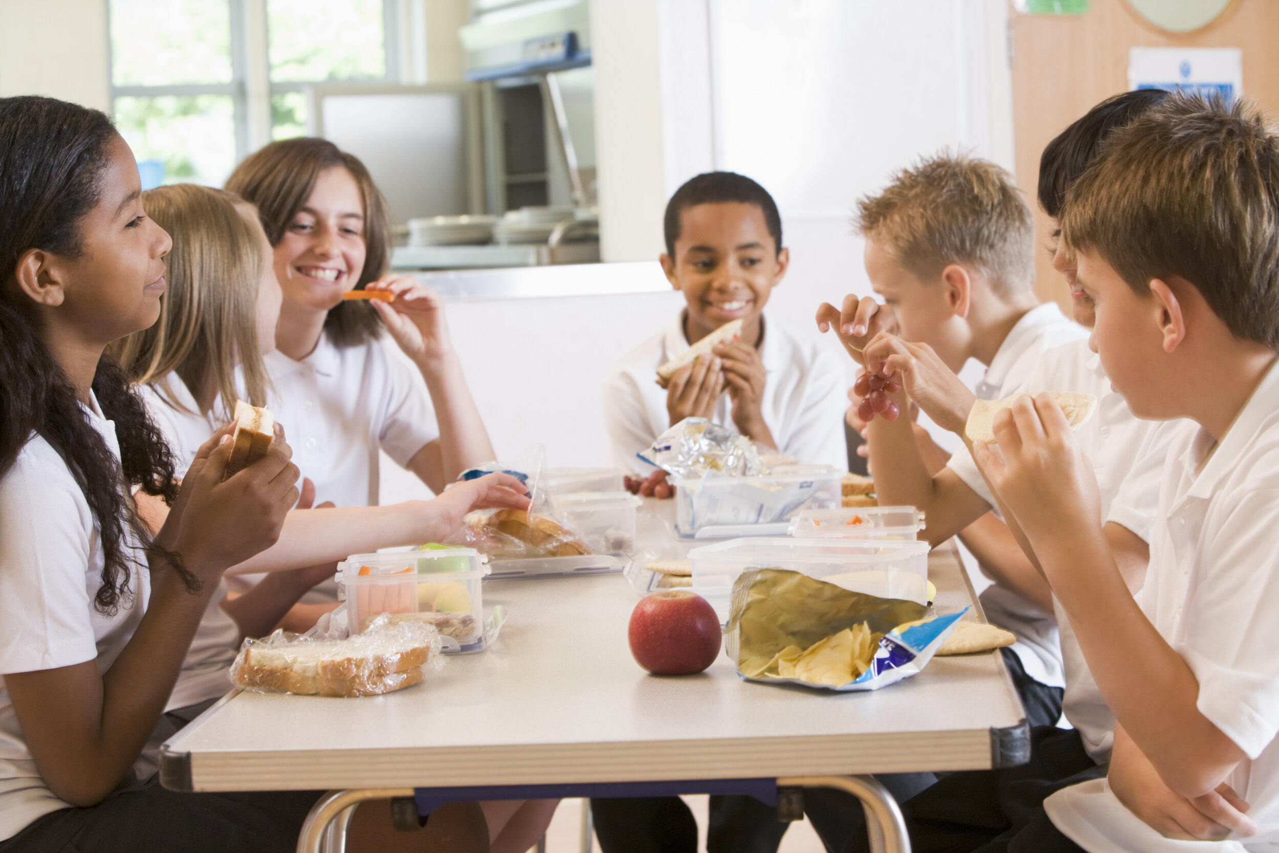 shutterstock_Children with packed lunches.jpg
