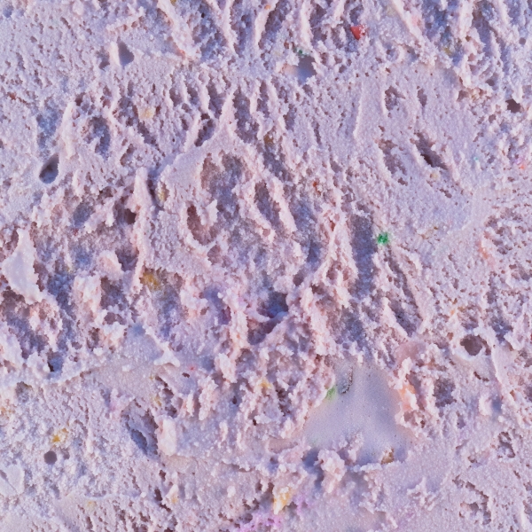 20x20 220dpi- halo halo_11A4086.jpeg