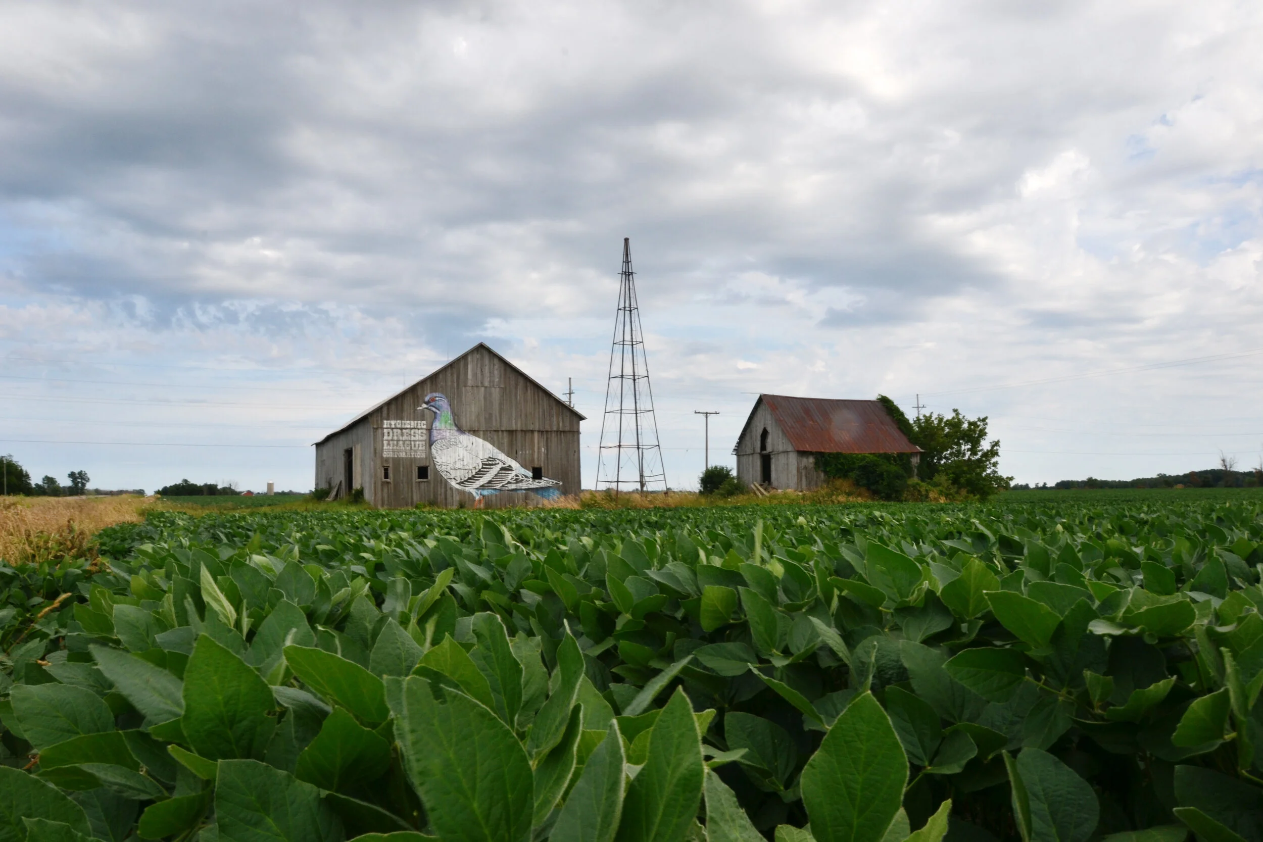 Art is on the Rise! (Copy)