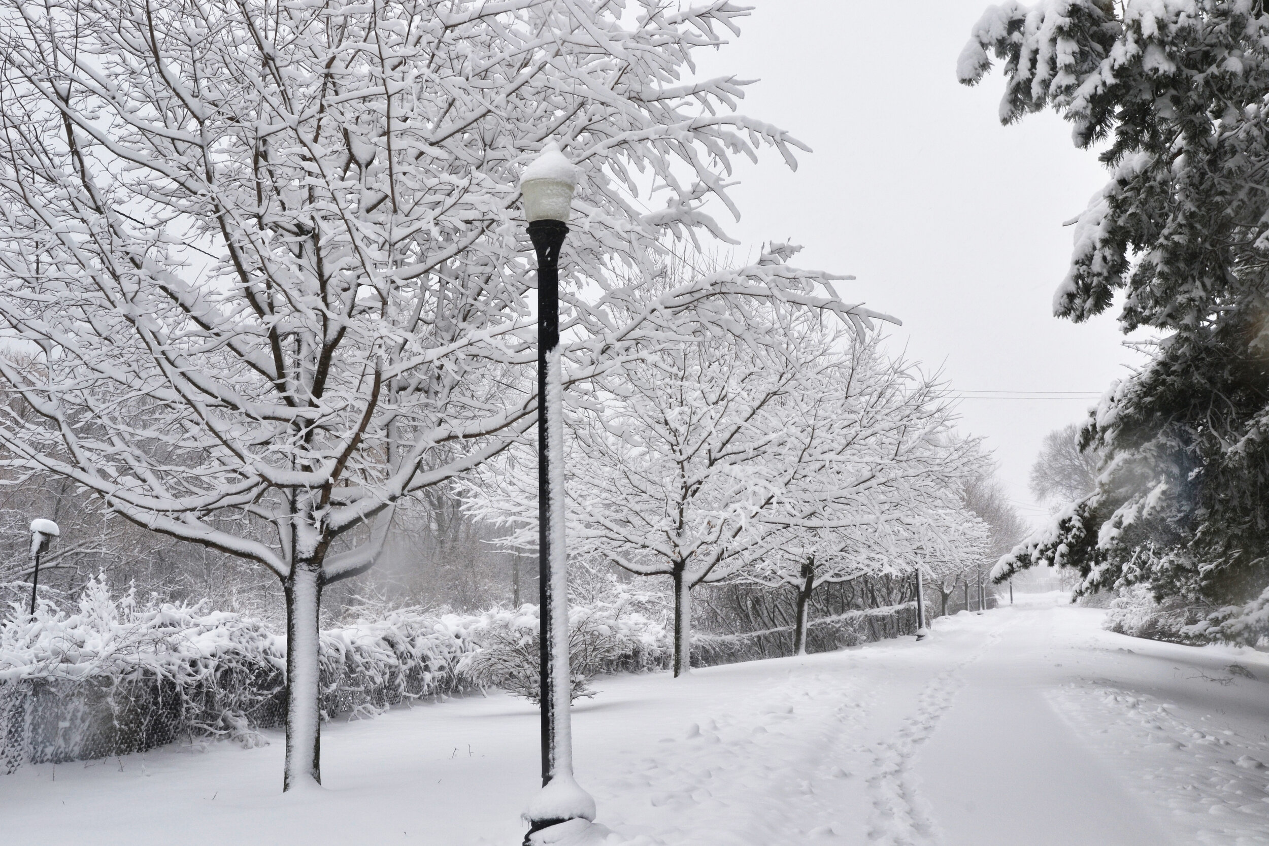 4 Seasons of Fun! (Copy)