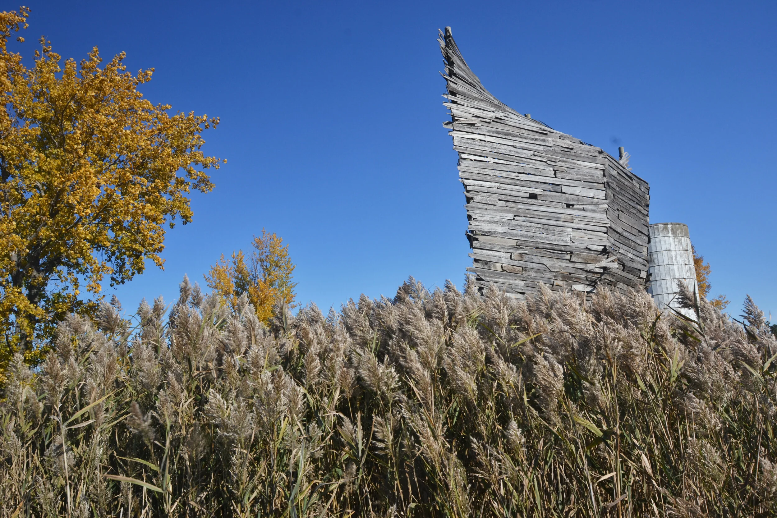 Art is on the Rise! (Copy)