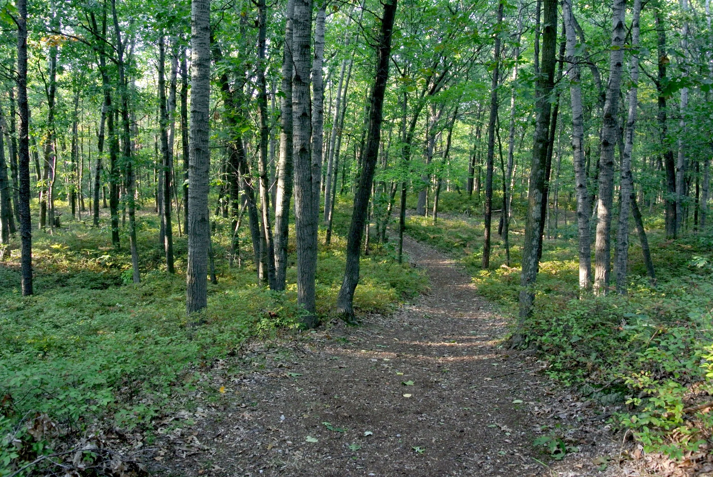 Live the Lake Life (Copy)