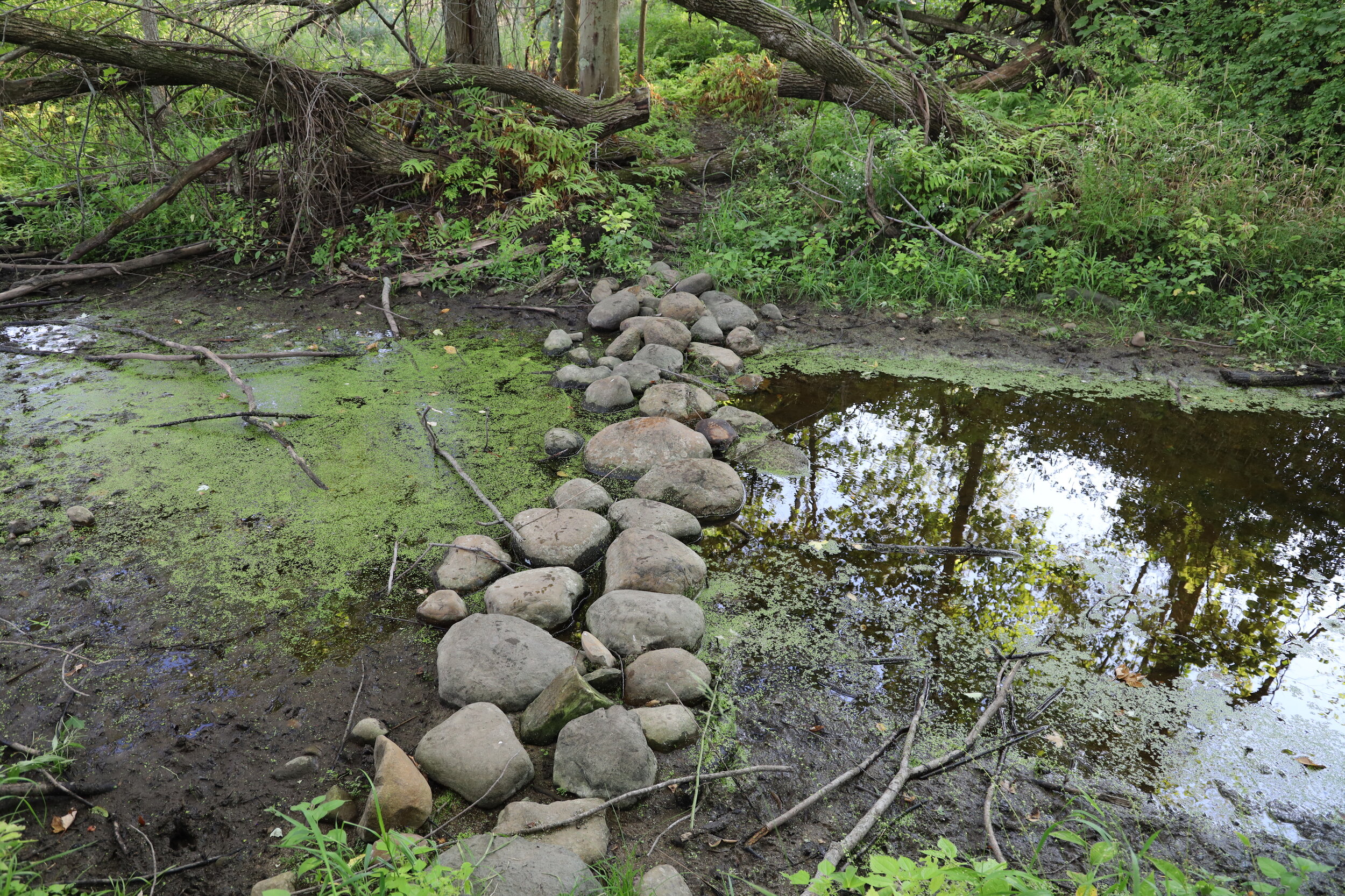 Natural Stone Bridge and Path - Kernan Memorial Nature Sanctuary.JPG