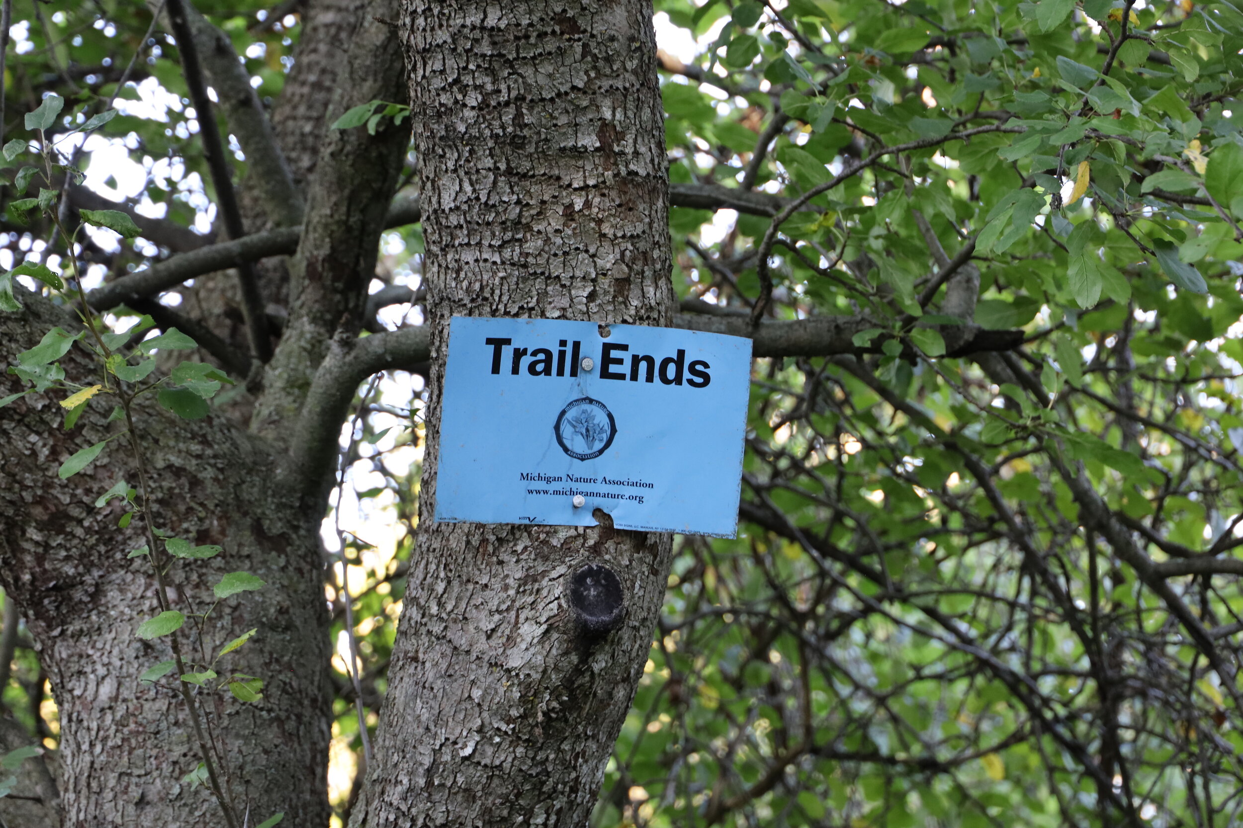 Sign - Trail Ends - Kernan Memorial Nature Sanctuary.JPG