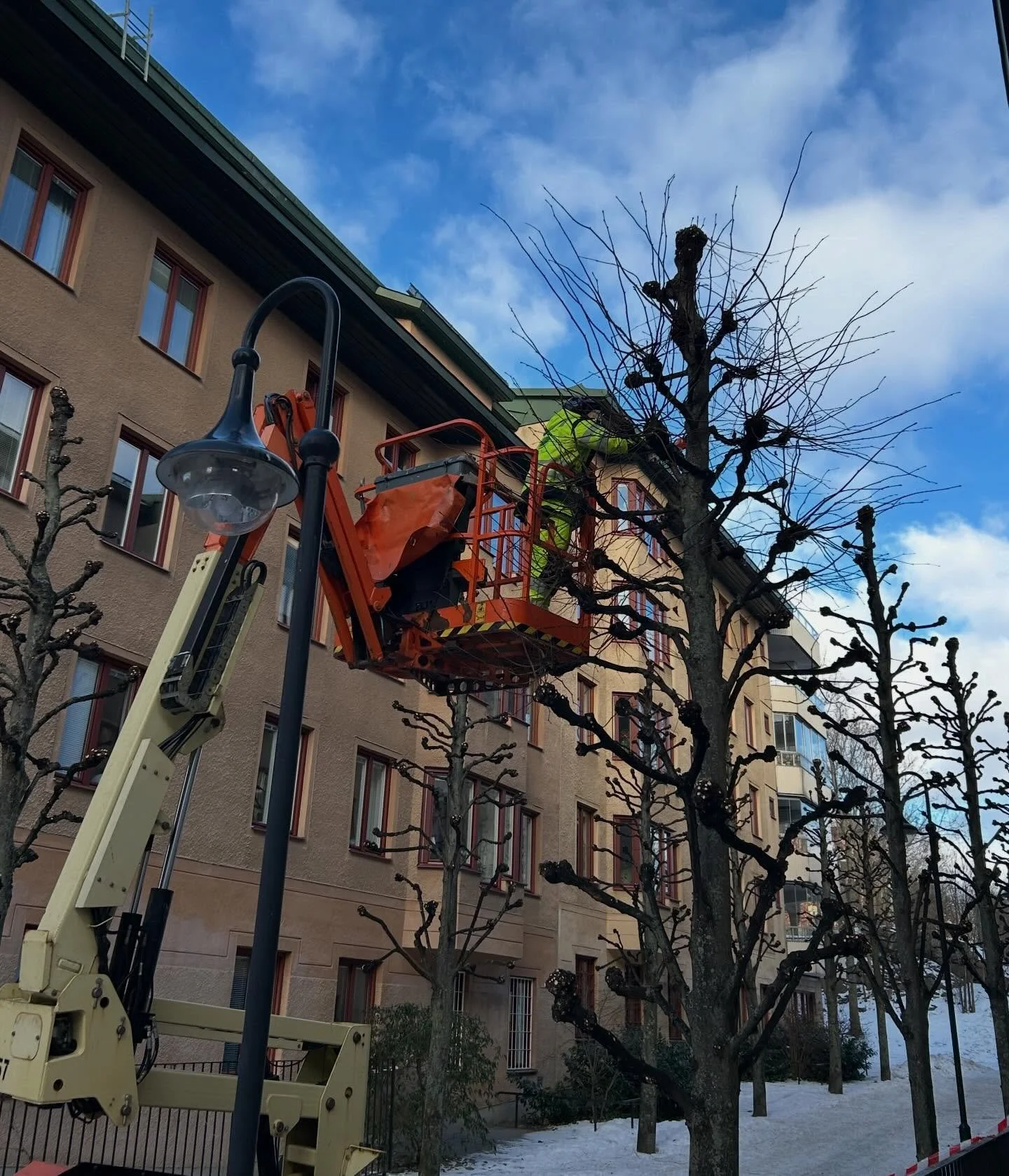 Mellan sn&ouml;fallen i januari har vi bland annat k&ouml;rt p&aring; med besk&auml;rningar. Denna vecka tar vi hj&auml;lp av skylift n&auml;r vi hamlar lindar. M&aring;nga lager kl&auml;der i det kalla men soliga v&auml;dret!☀️❄️🌳

#elfstr&ouml;mst