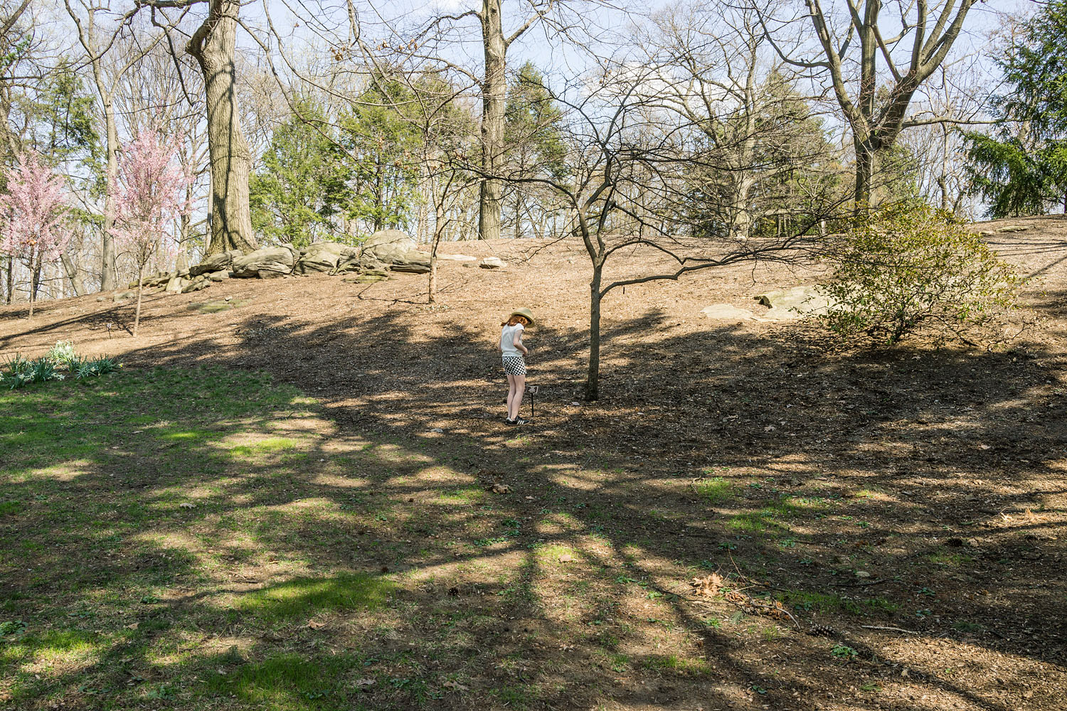 New York Botanical Garden