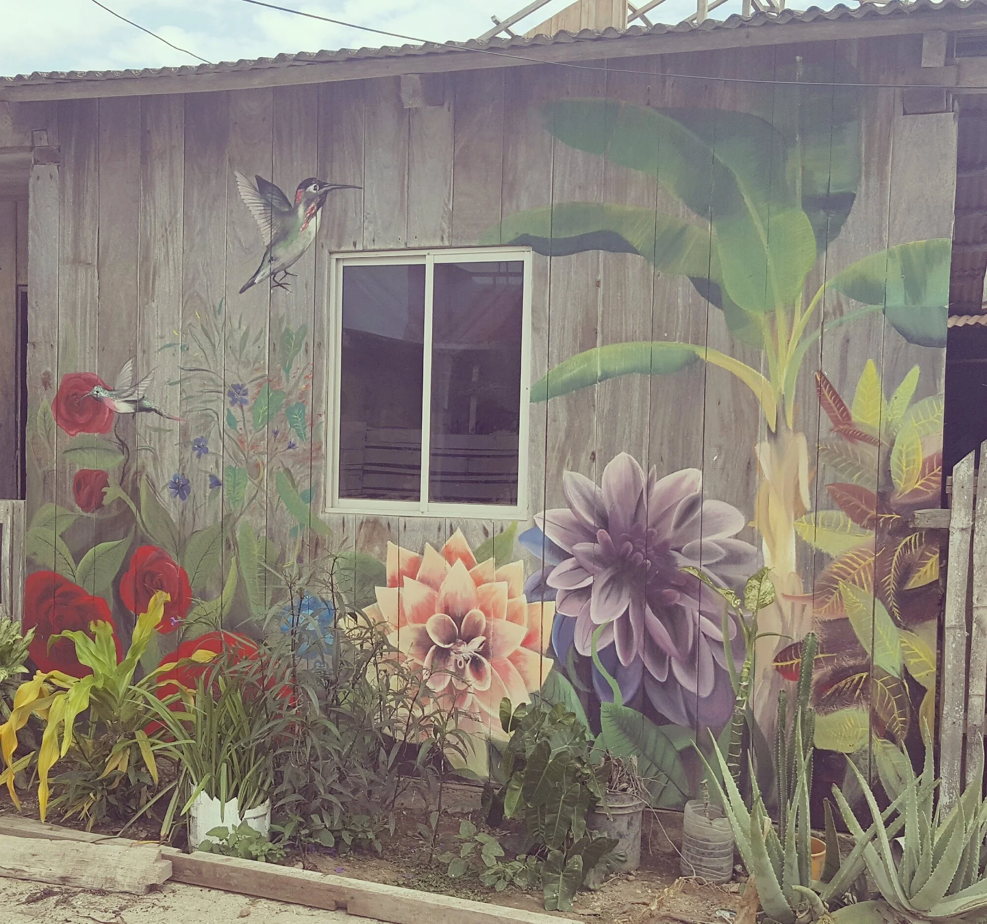 Martita's Garden