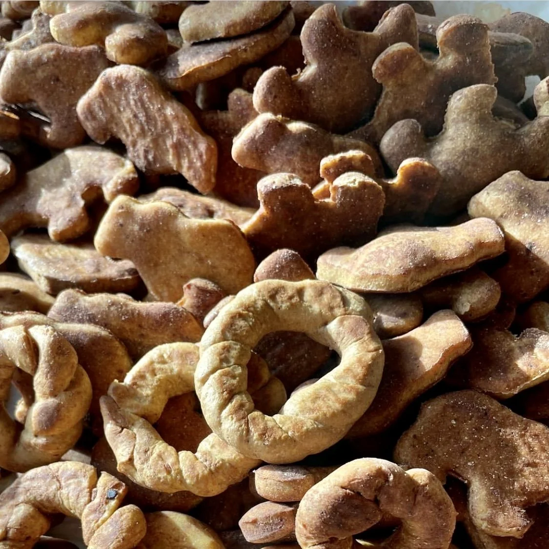 Y-NOT Dog Cookies