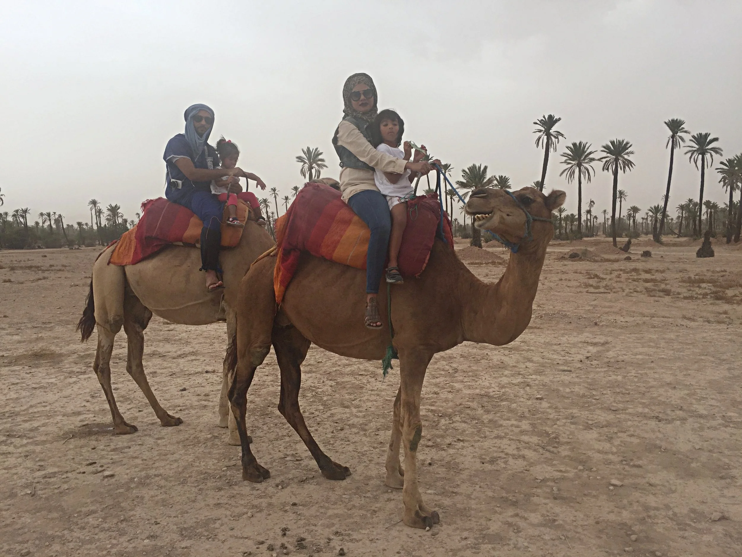 A Step by Step Guide on Road Tripping through Morocco with Kids                      